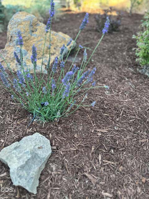 Tiny photo for 61101 SE Sydney Harbor Drive, Bend, OR 97702 (MLS # 220227046)