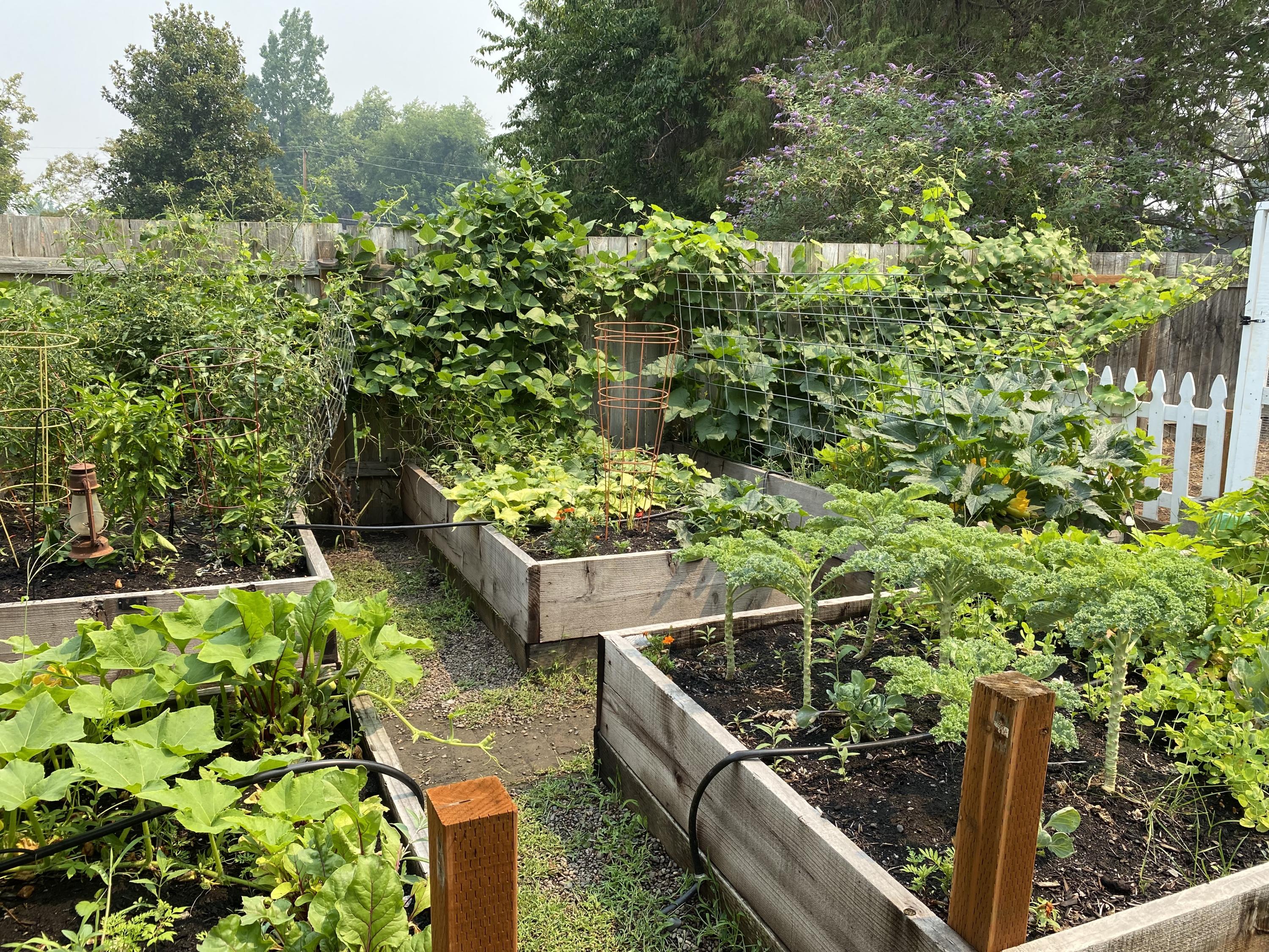 Central Valley Subdivision - Residential