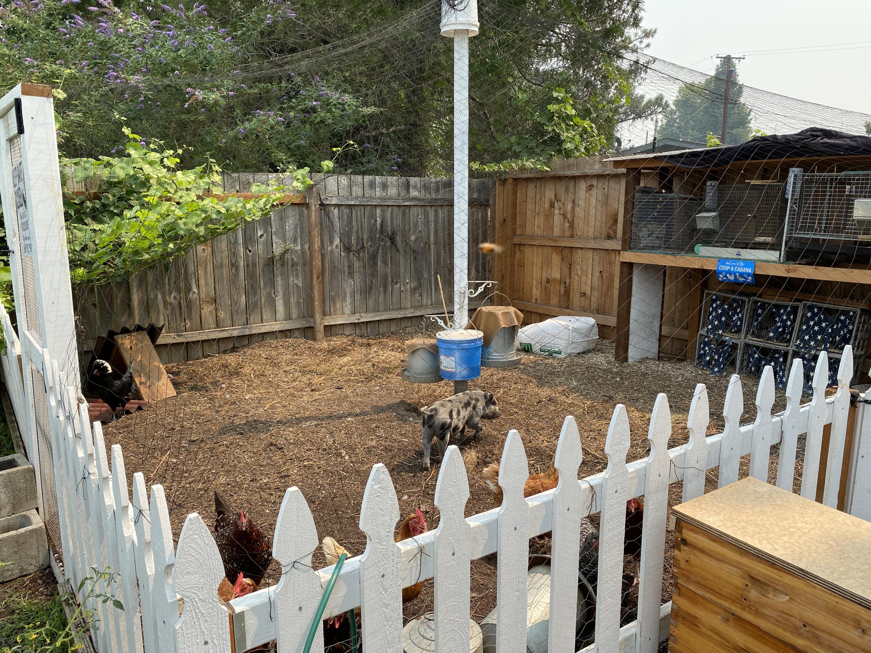 Central Valley Subdivision - Residential