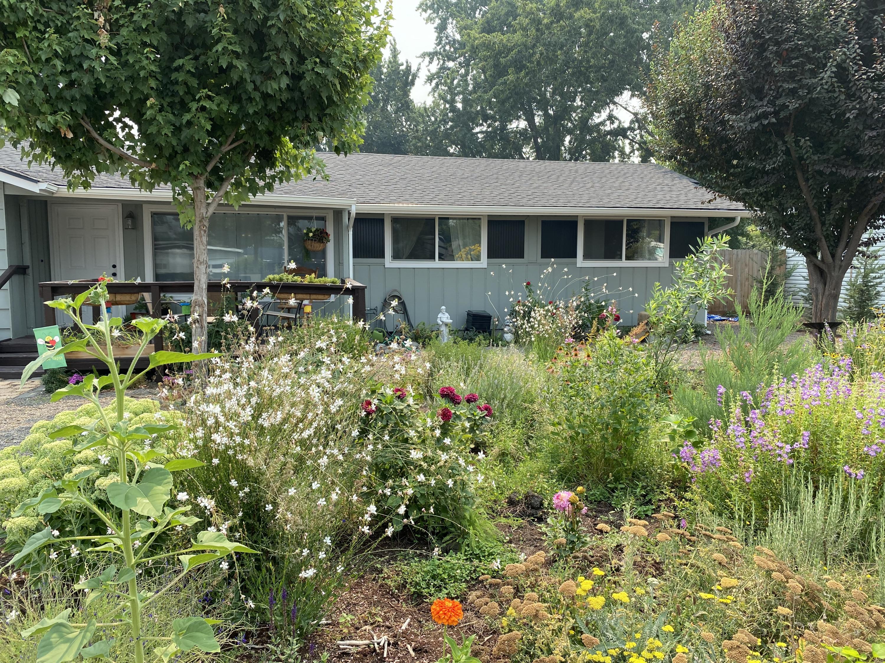 Central Valley Subdivision - Residential