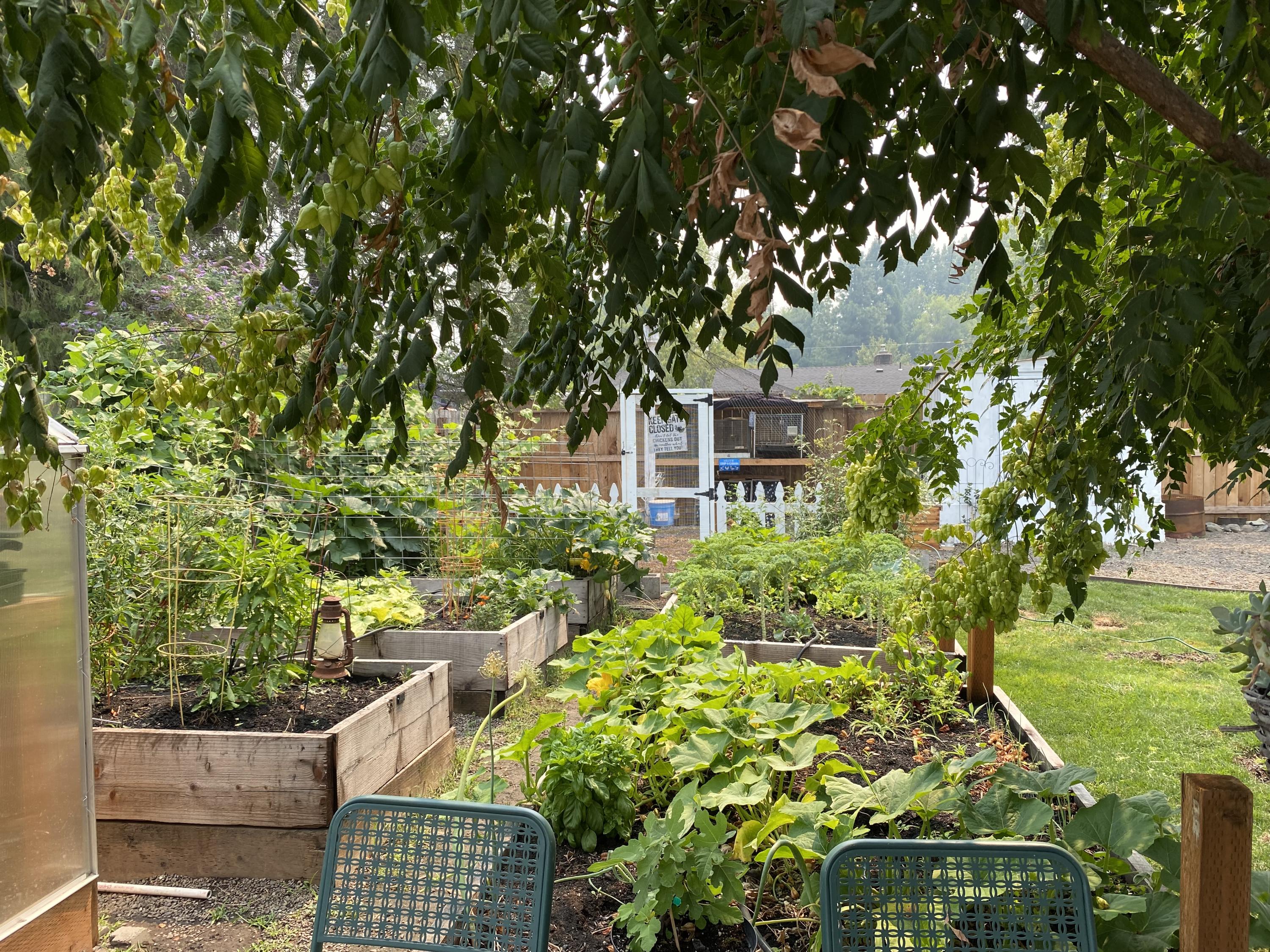 Central Valley Subdivision - Residential