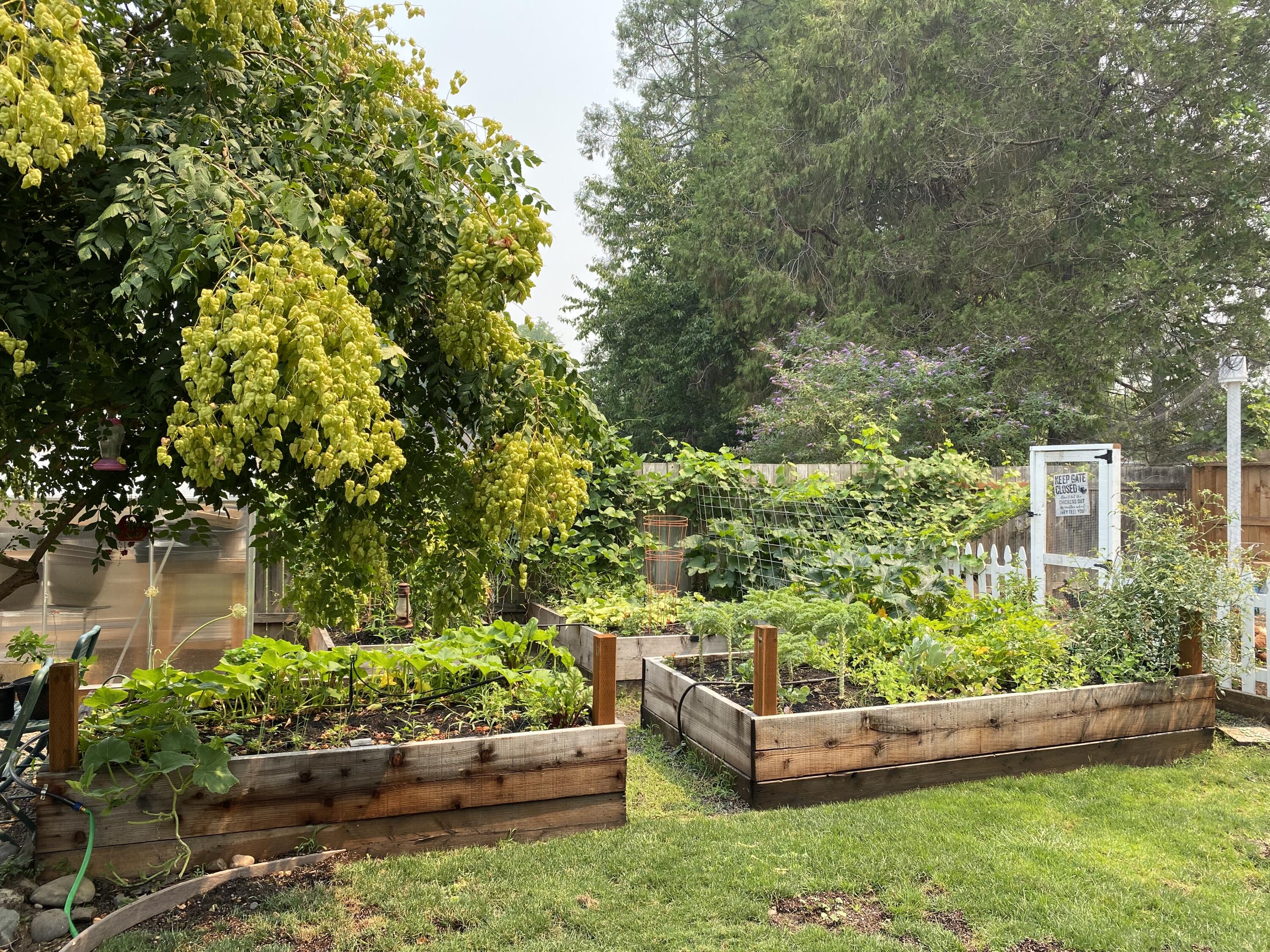 Central Valley Subdivision - Residential