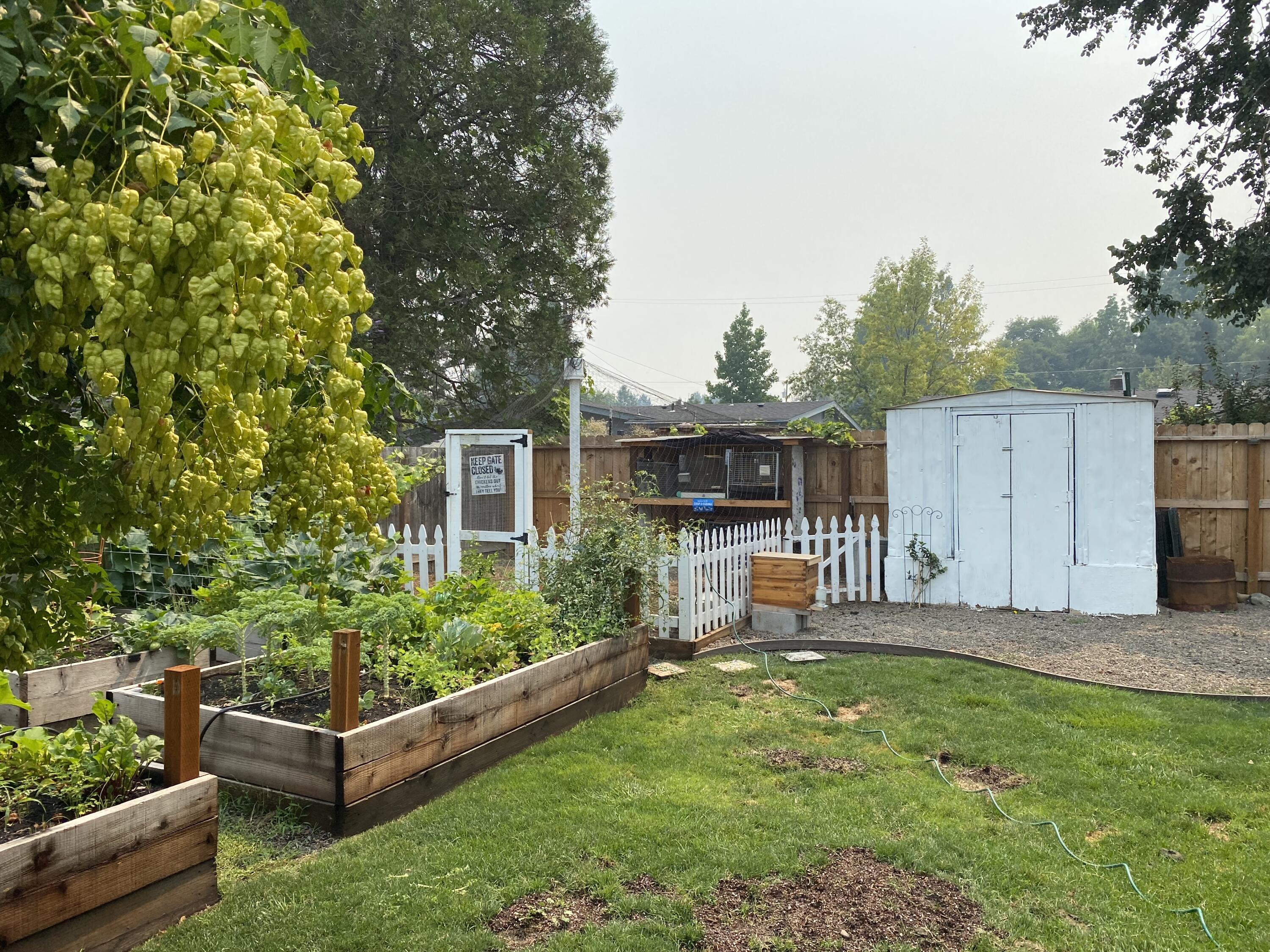 Central Valley Subdivision - Residential