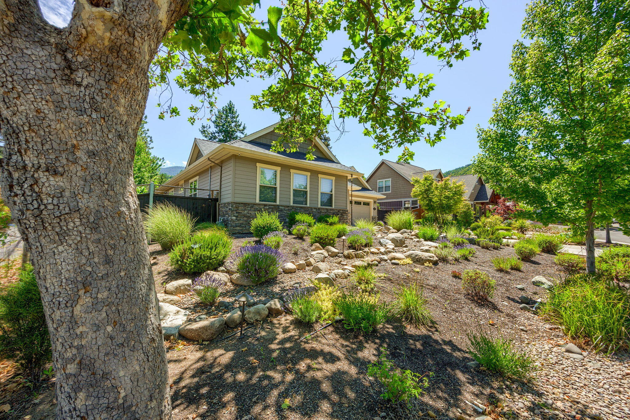 Tolman Meadows Phase I - Residential