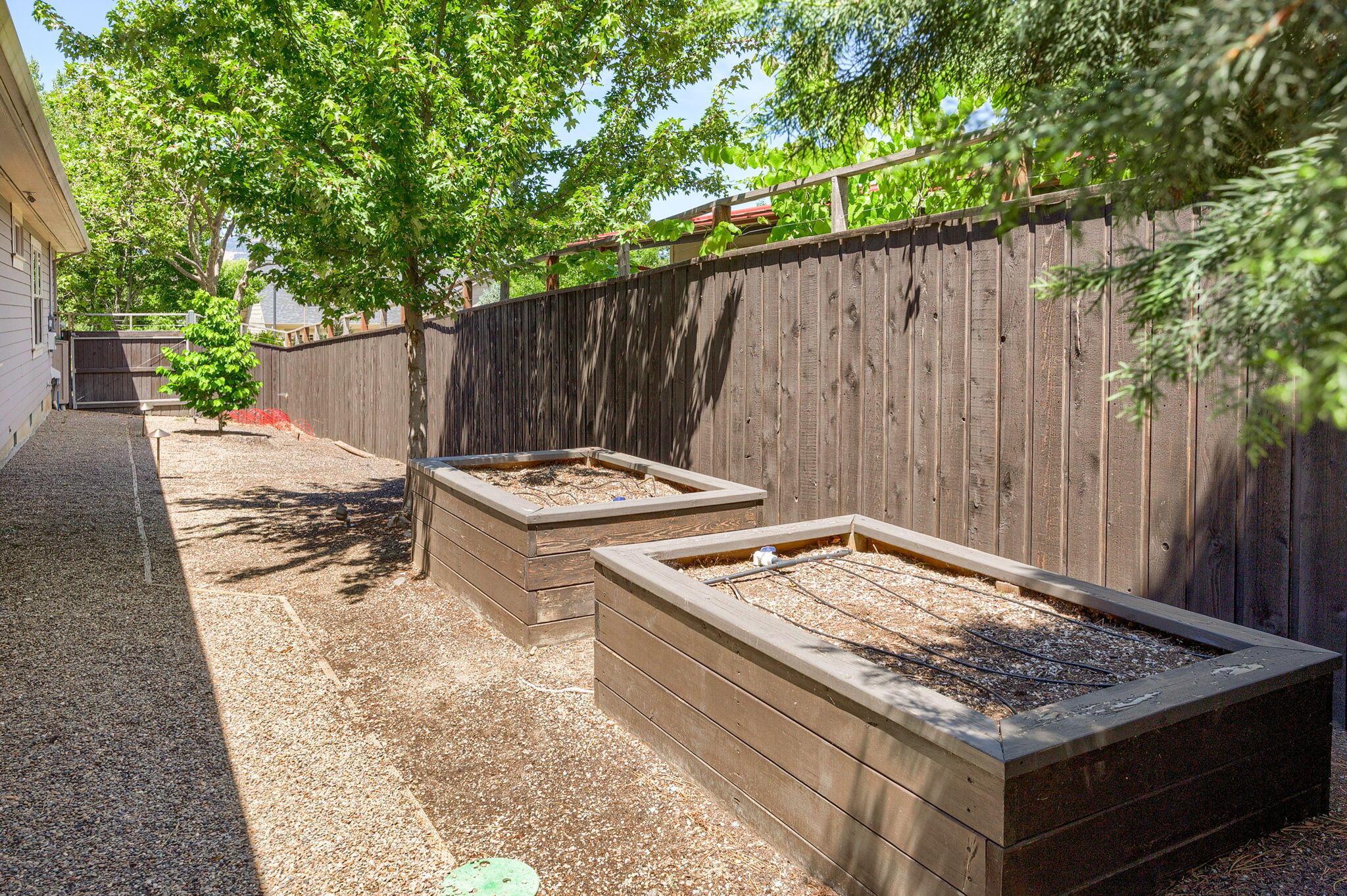 Tolman Meadows Phase I - Residential