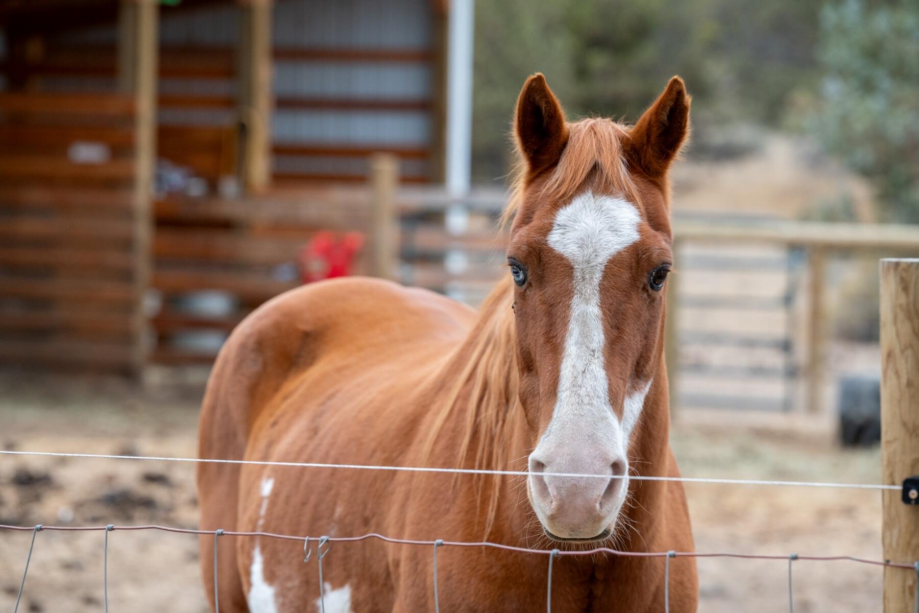 Tetherow Crossing - Residential