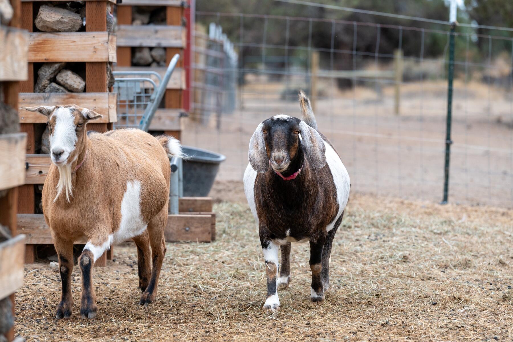 Tetherow Crossing - Residential