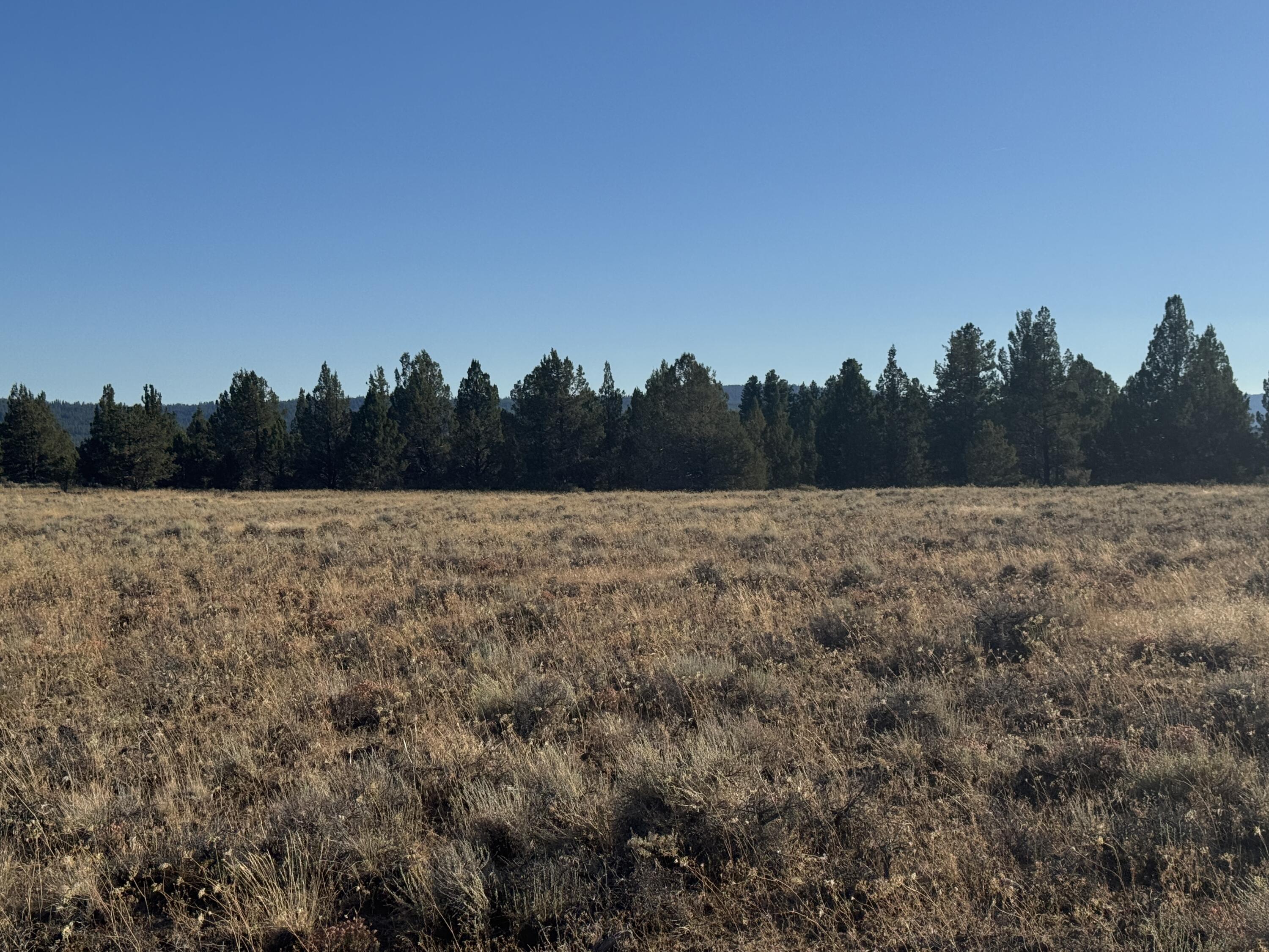 Nimrod River Park - Land