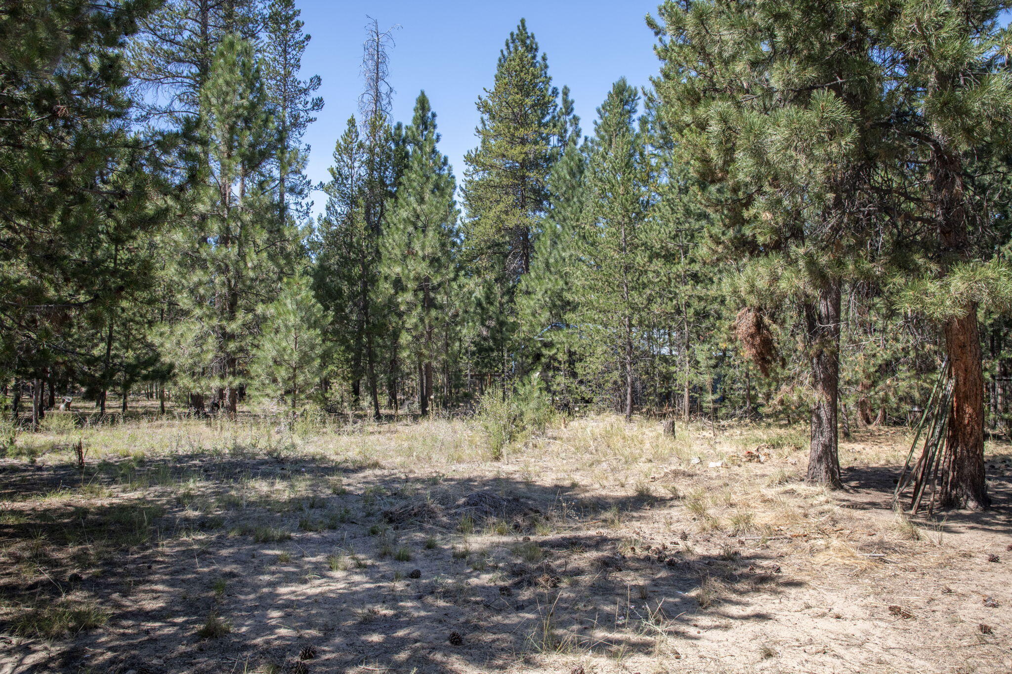 River Pine Estates - Residential