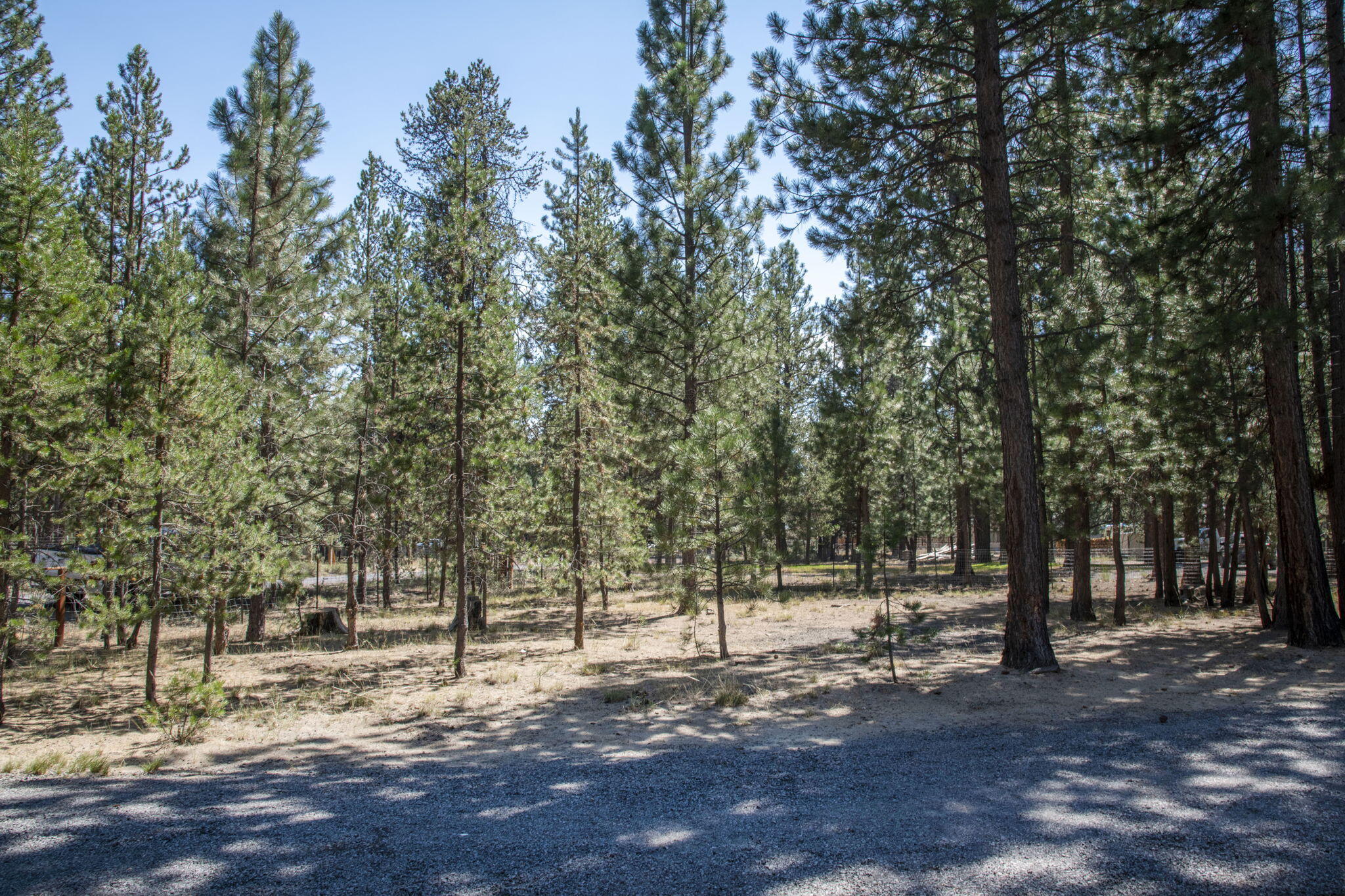 River Pine Estates - Residential