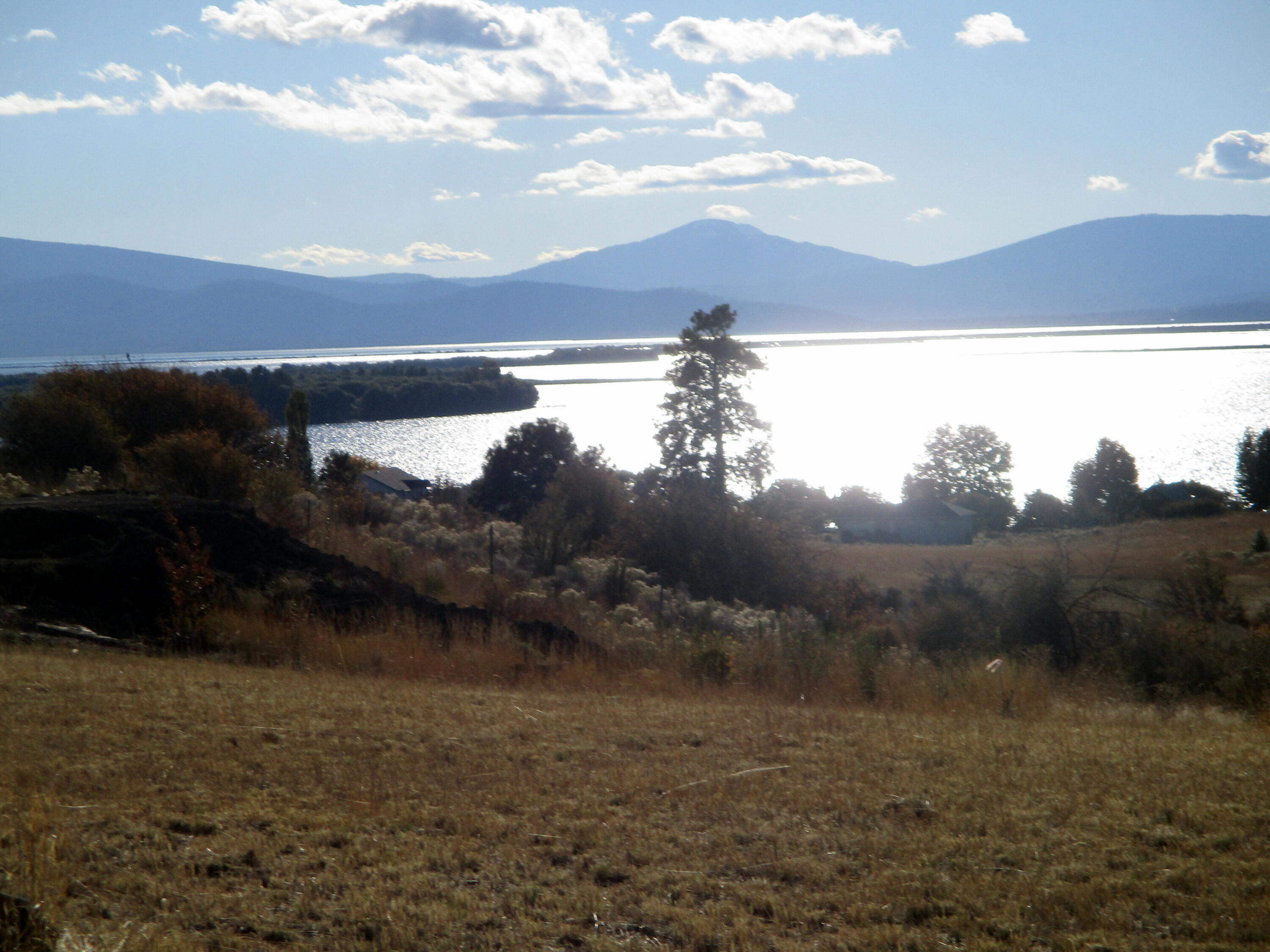 Oregon Shores - Land