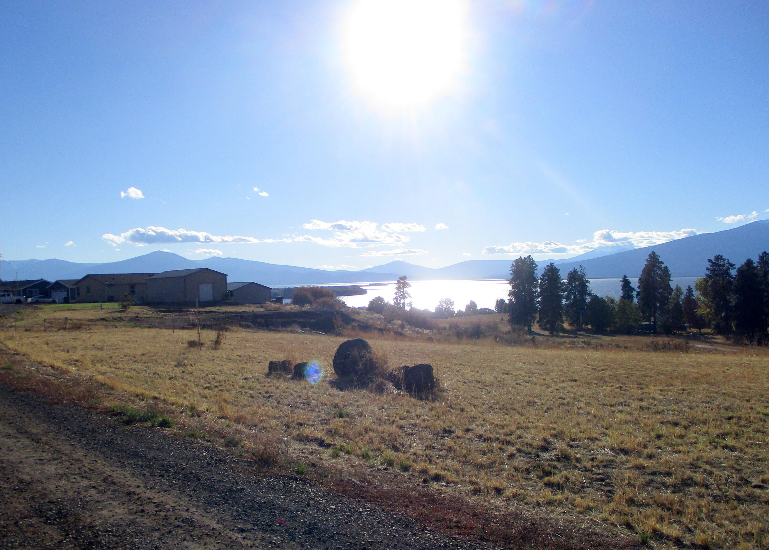 Oregon Shores - Land