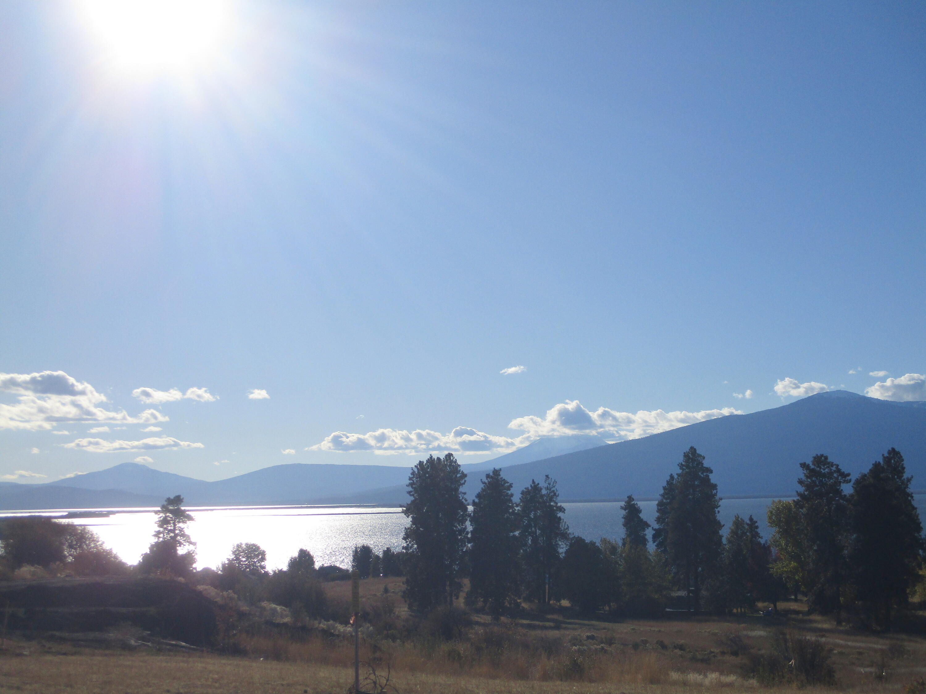 Oregon Shores - Land