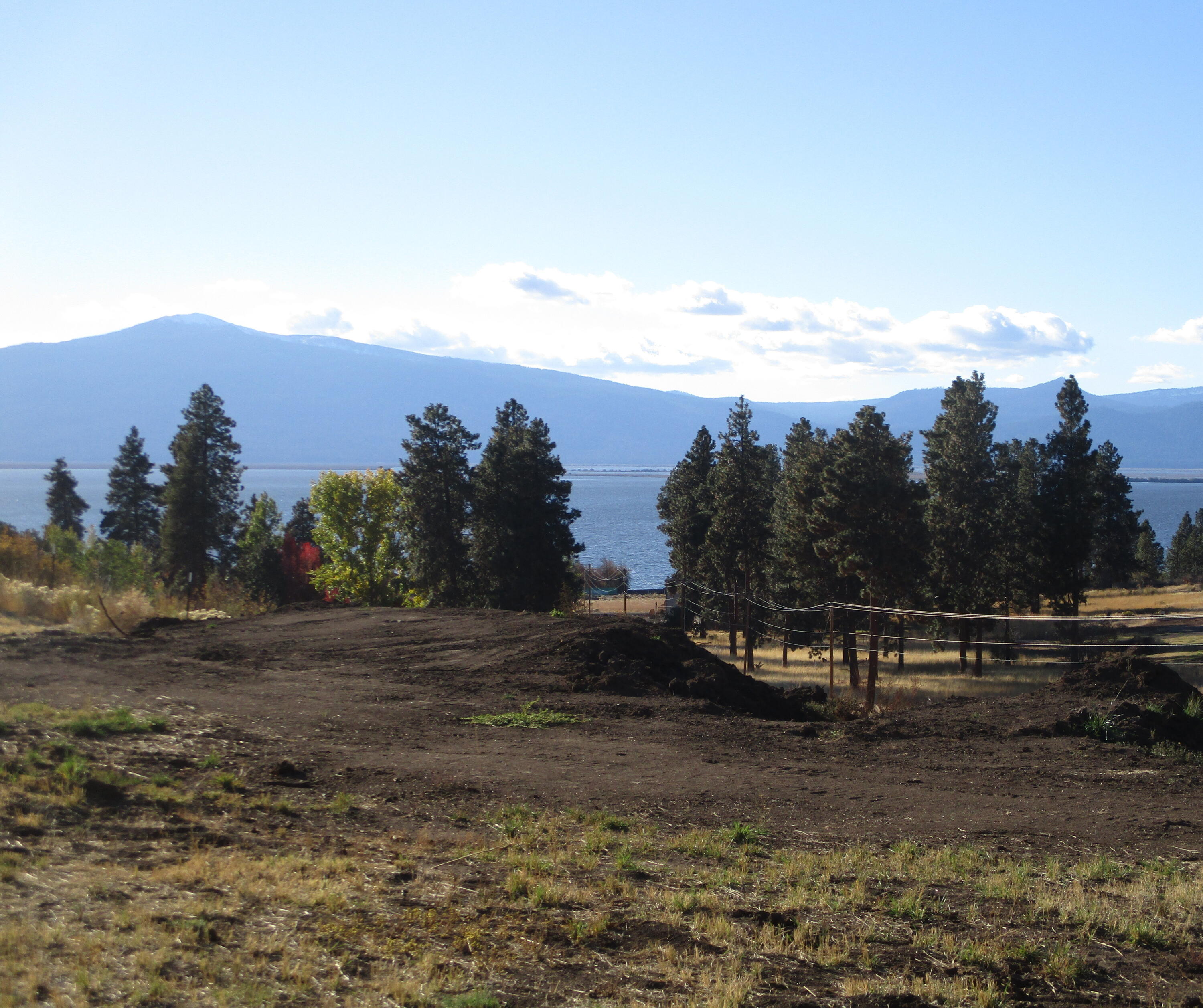 Oregon Shores - Land