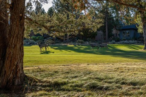 Tiny photo for 3237 NW Kidd Place, Bend, OR 97703 (MLS # 220210788)