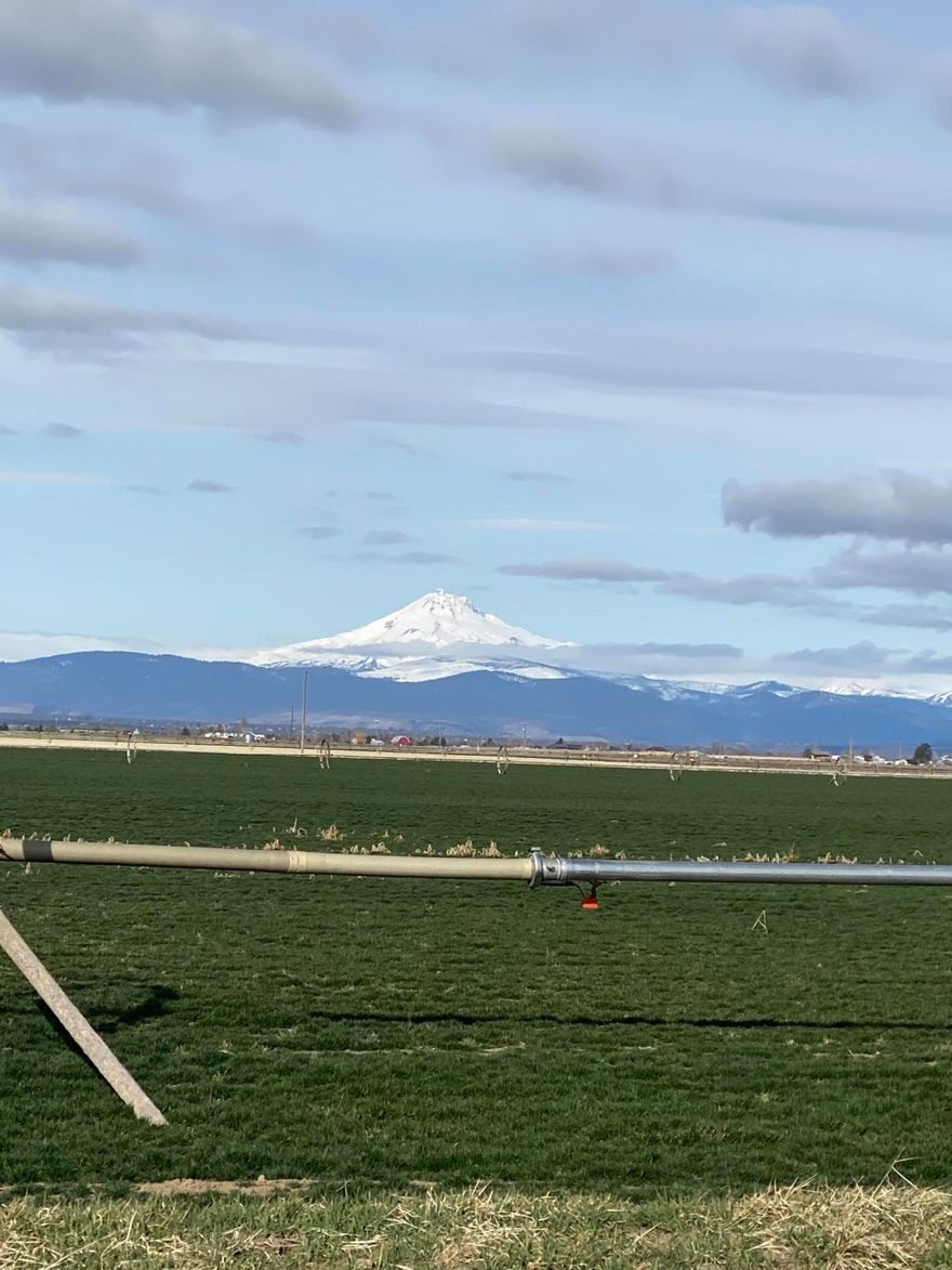 Are you looking for almost 80 acres of premium farm ground in Culver Oregon? Bare land no buildings. Location is key! Located just outside the town of Culver. Easy access. Beautiful farm ground. This won't last long. Also, there is possibility for an assumable owner carry terms with credit approval and/or approved financials. Don't hesitate on this property! Call your favorite Realtor today!