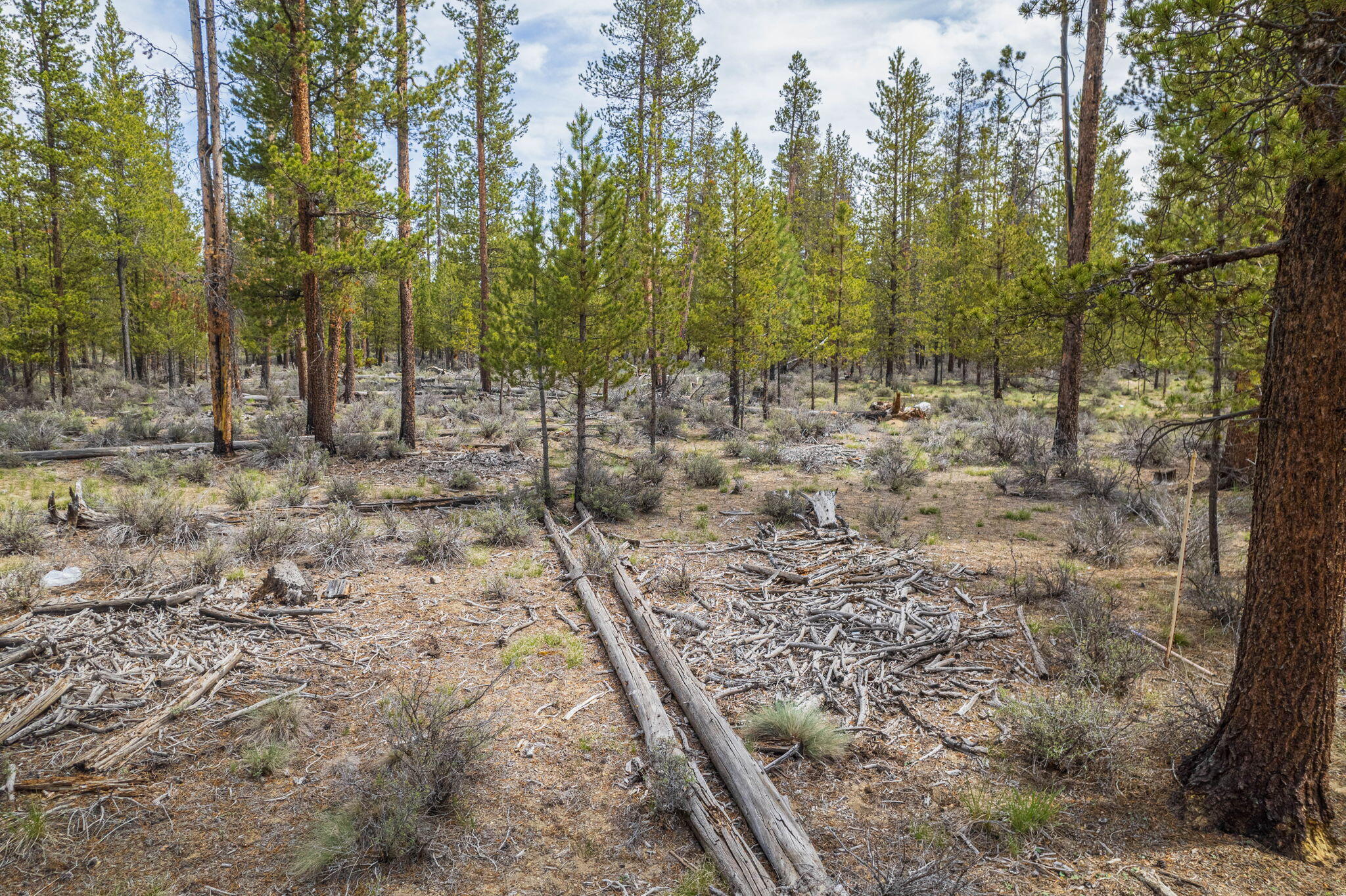 Sun Forest Estates - Land