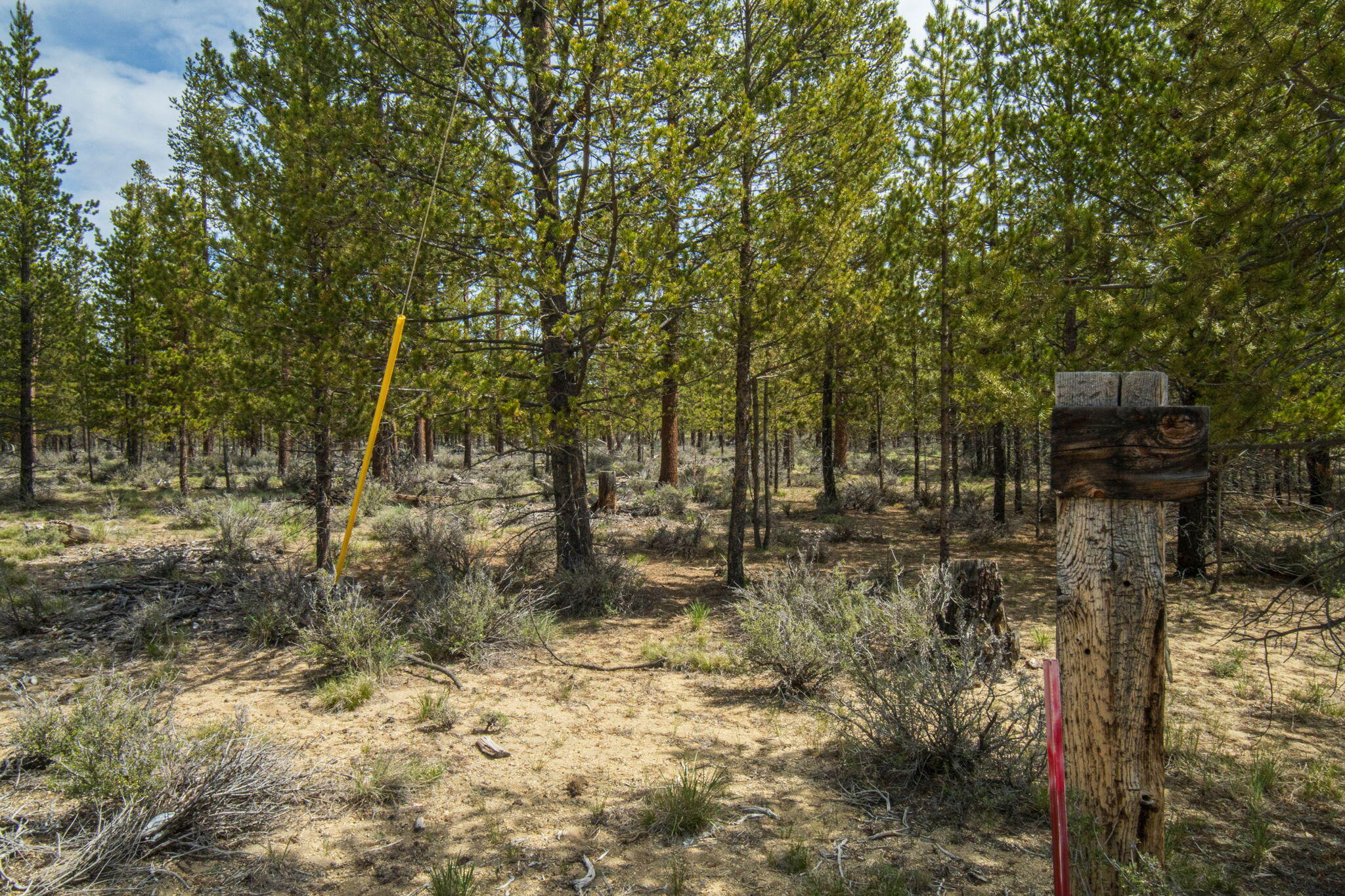 Sun Forest Estates - Land