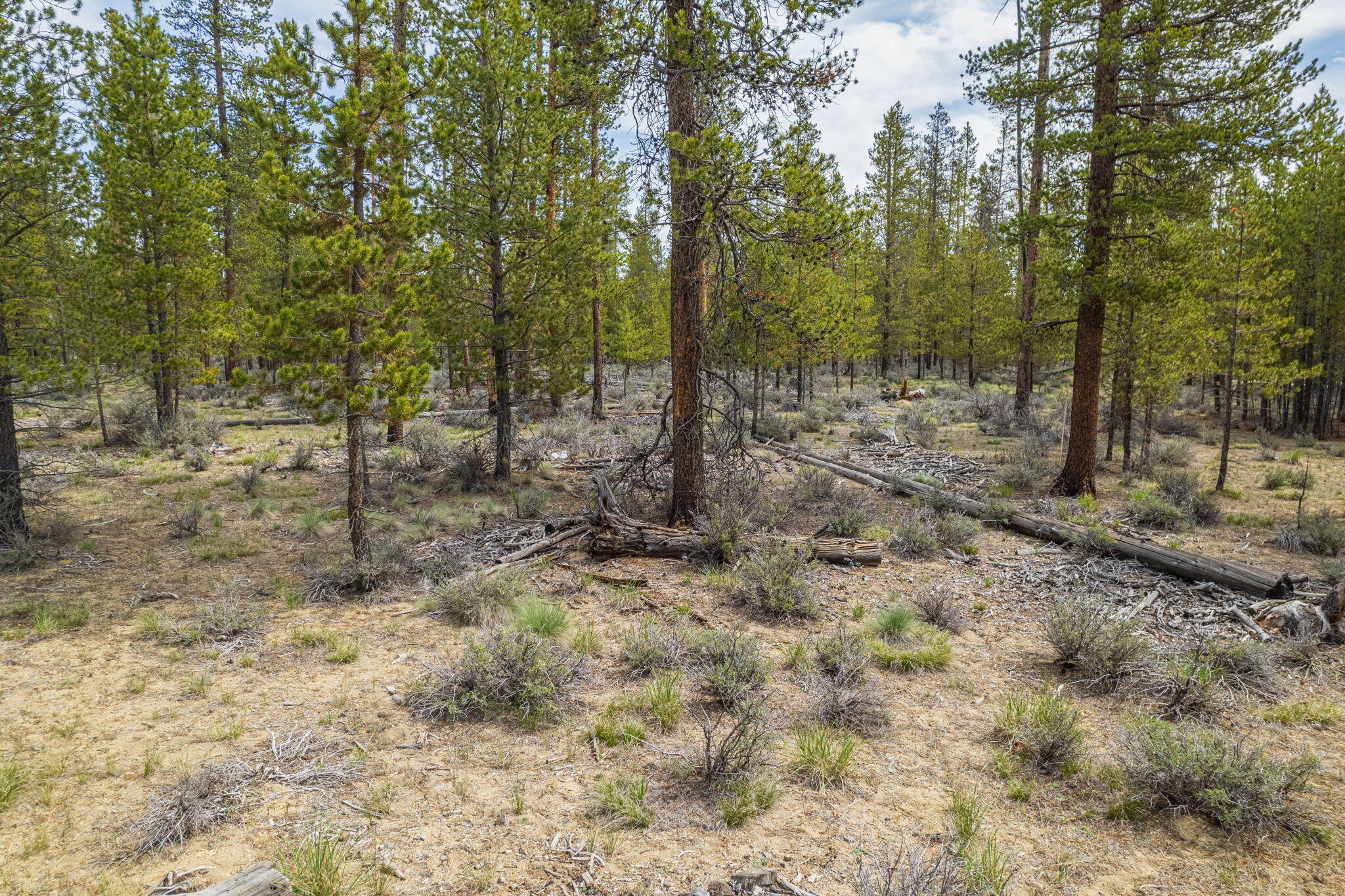 Sun Forest Estates - Land