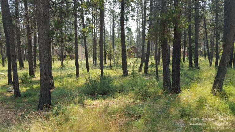 River Village - Land