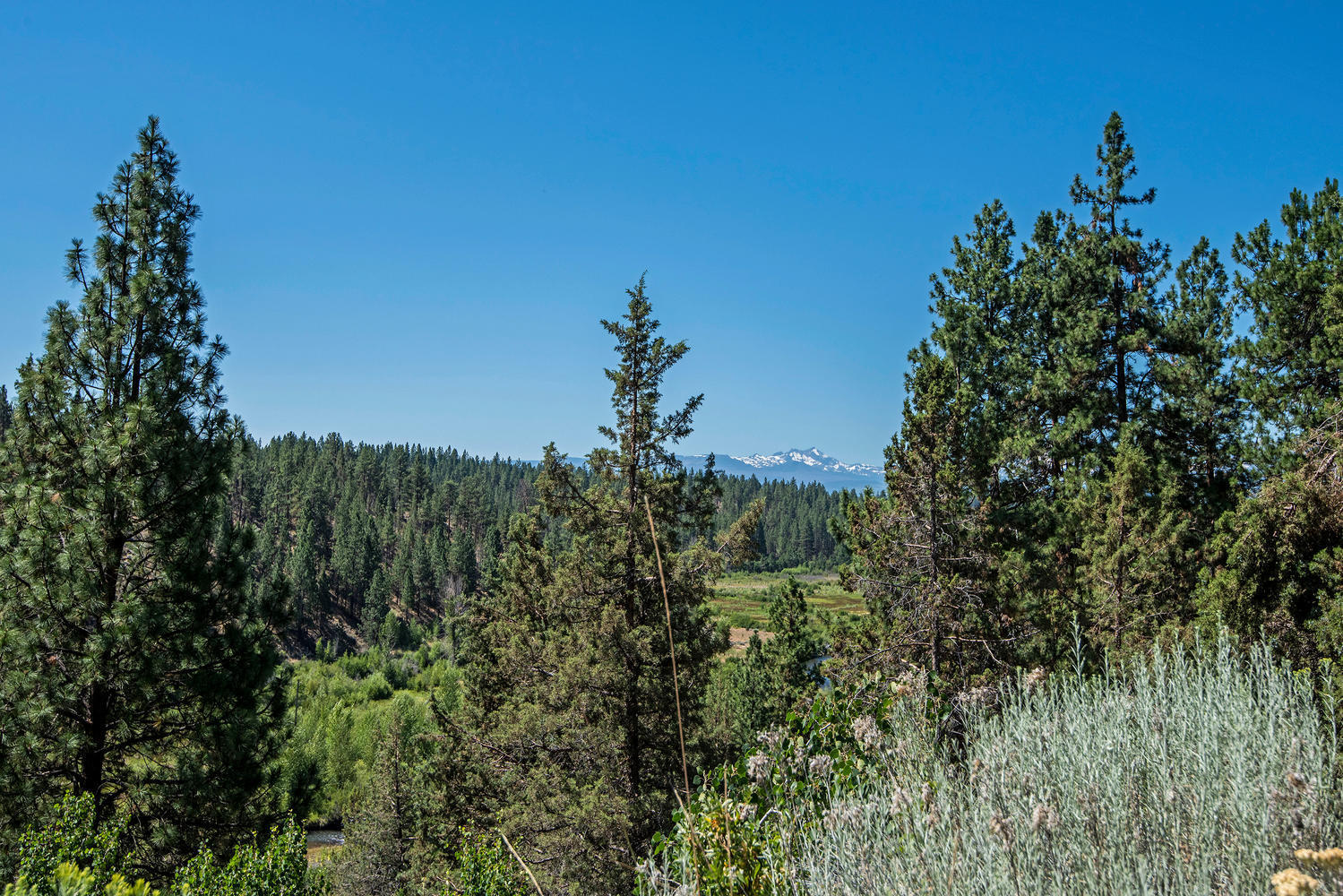 Junipine Acres - Residential