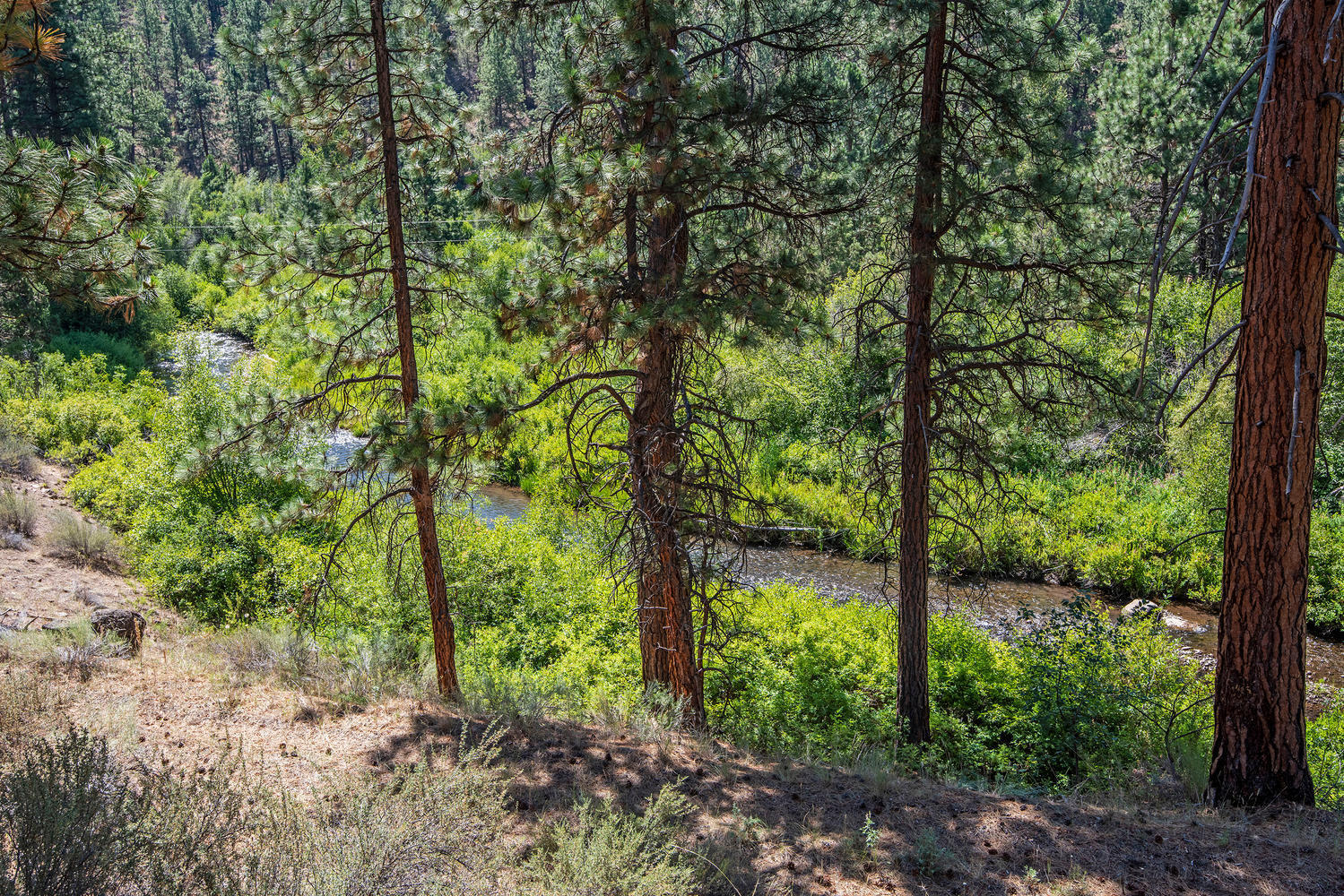 Junipine Acres - Residential