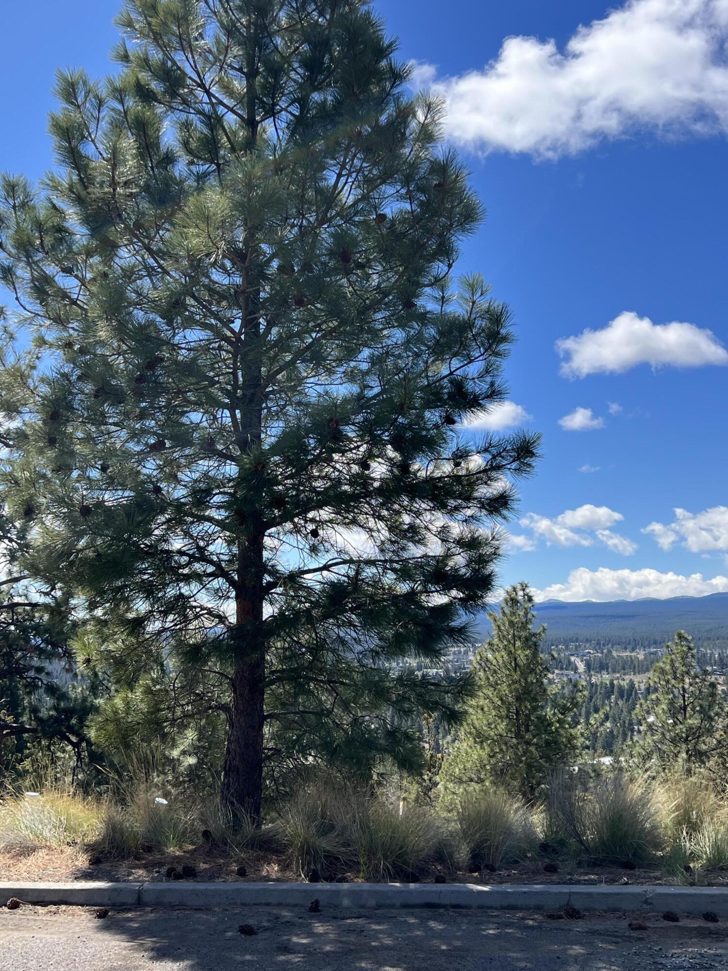 1945 NW Sun Ray Court