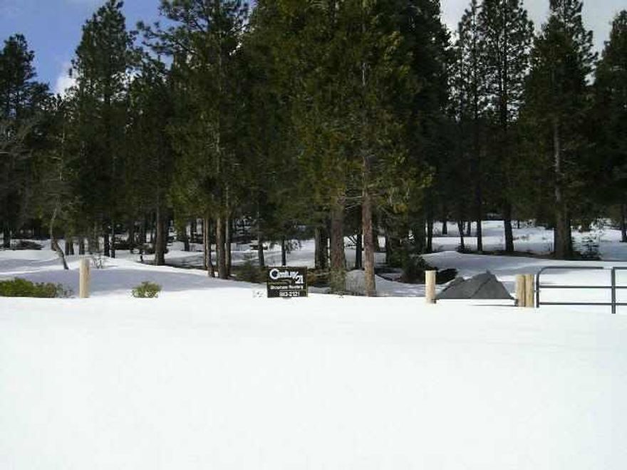 Identifiable Property With Front Fencing And Gate, Power To Property Line, Driveway Cut In, Wooded And Gentle Sloping For Good Homesite Or Cabin.Trees Have Been Trimmed For Fire Protection. Owner May Carry.
