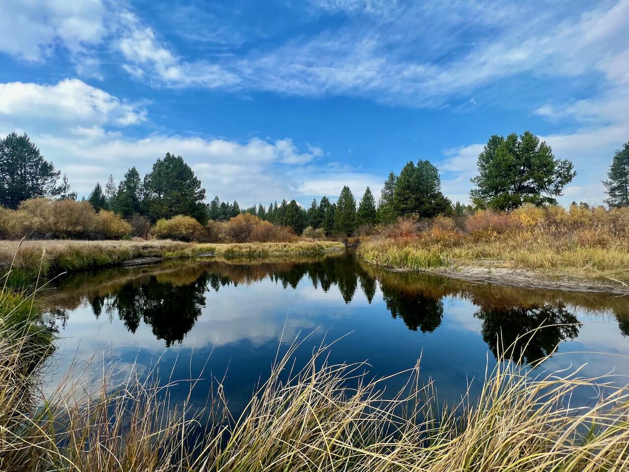 Wagon Trail Acreages - Land