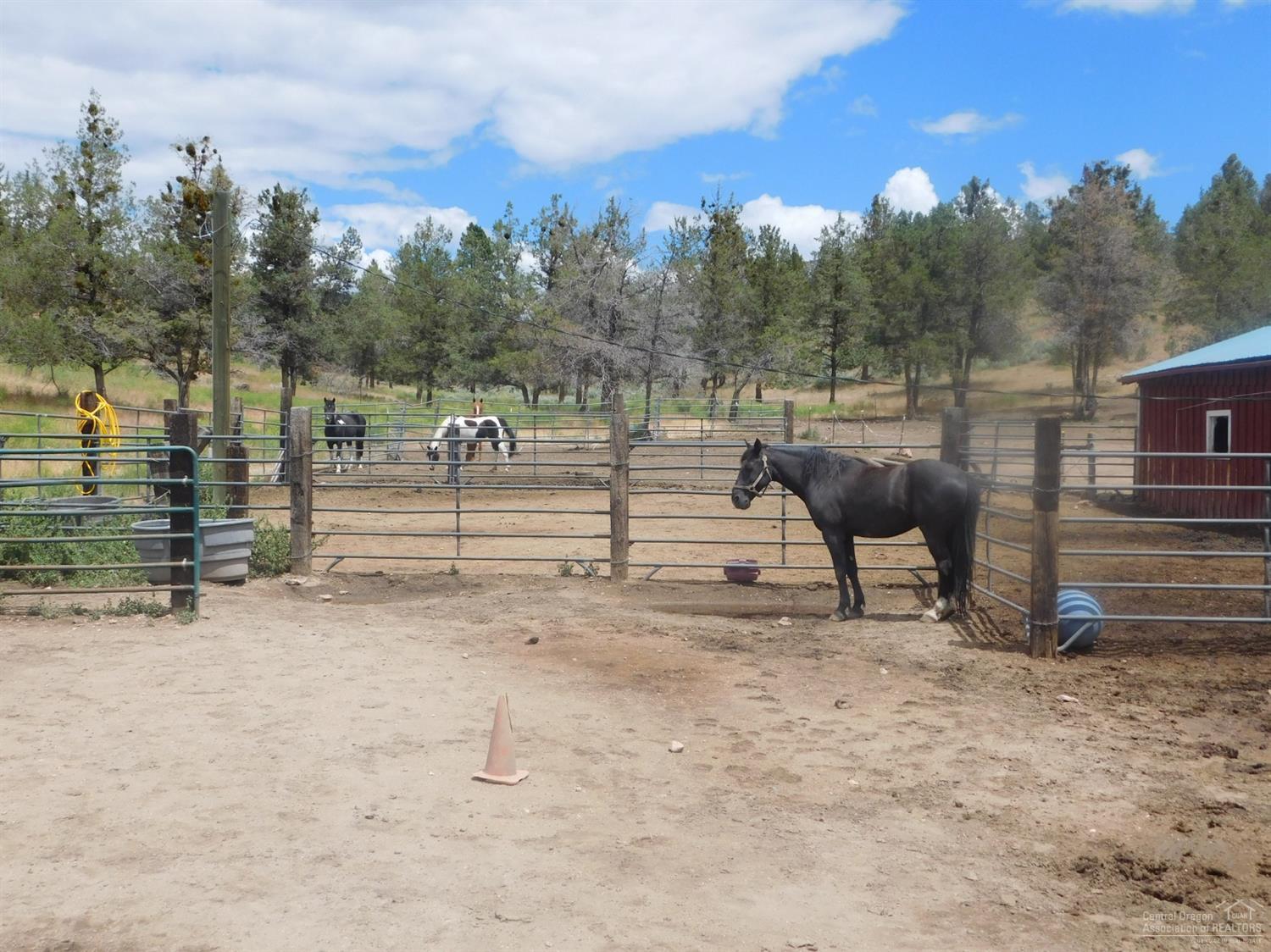 Golden Horseshoe - Residential