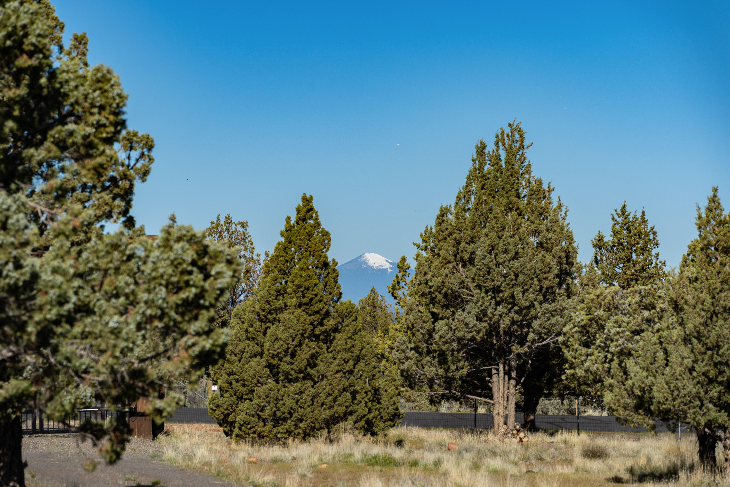 Mtn View Estate - Land