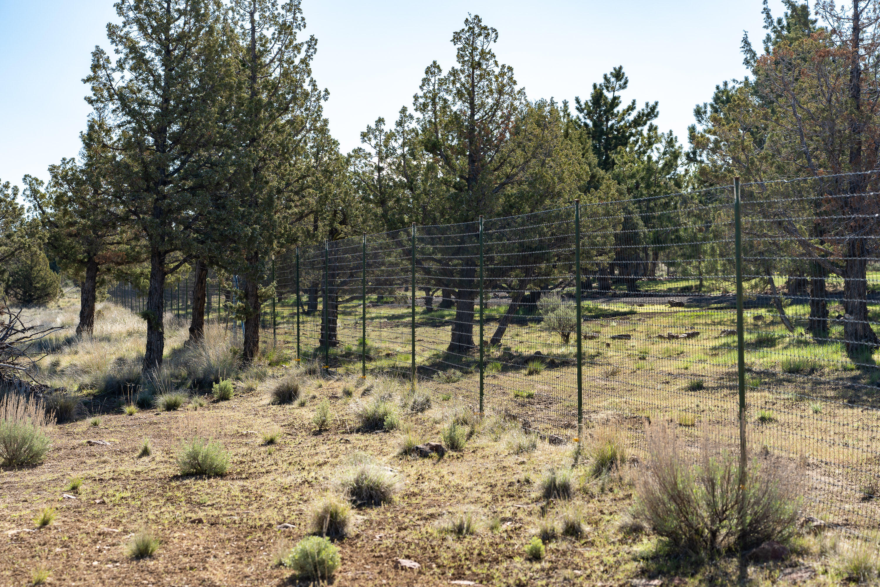 Mtn View Estate - Land