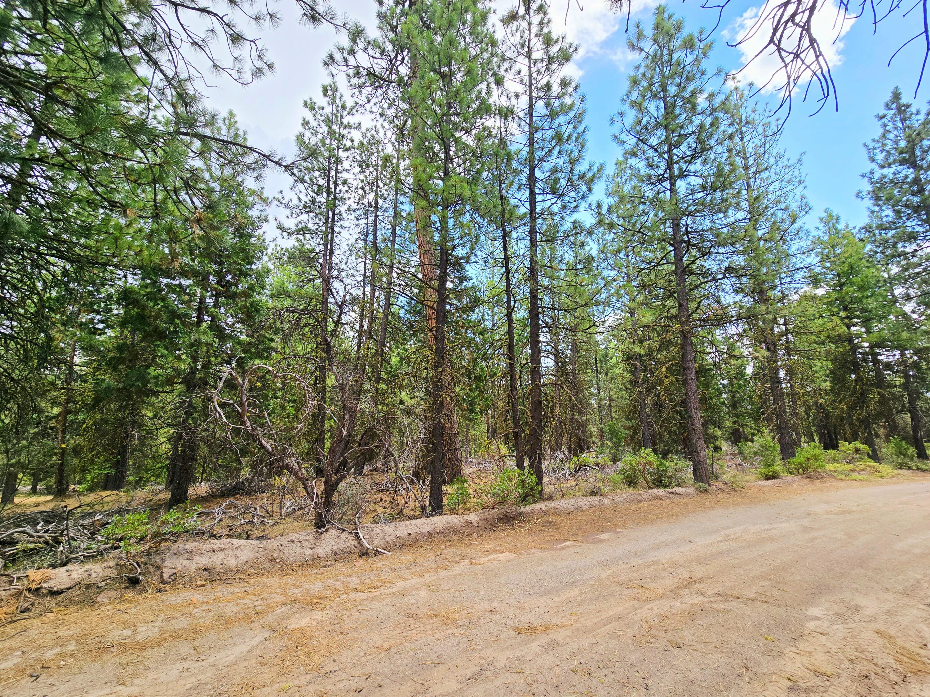 Klamath Falls Forest Estates -Hwy 66 Unit -Plat No. 1 - Land