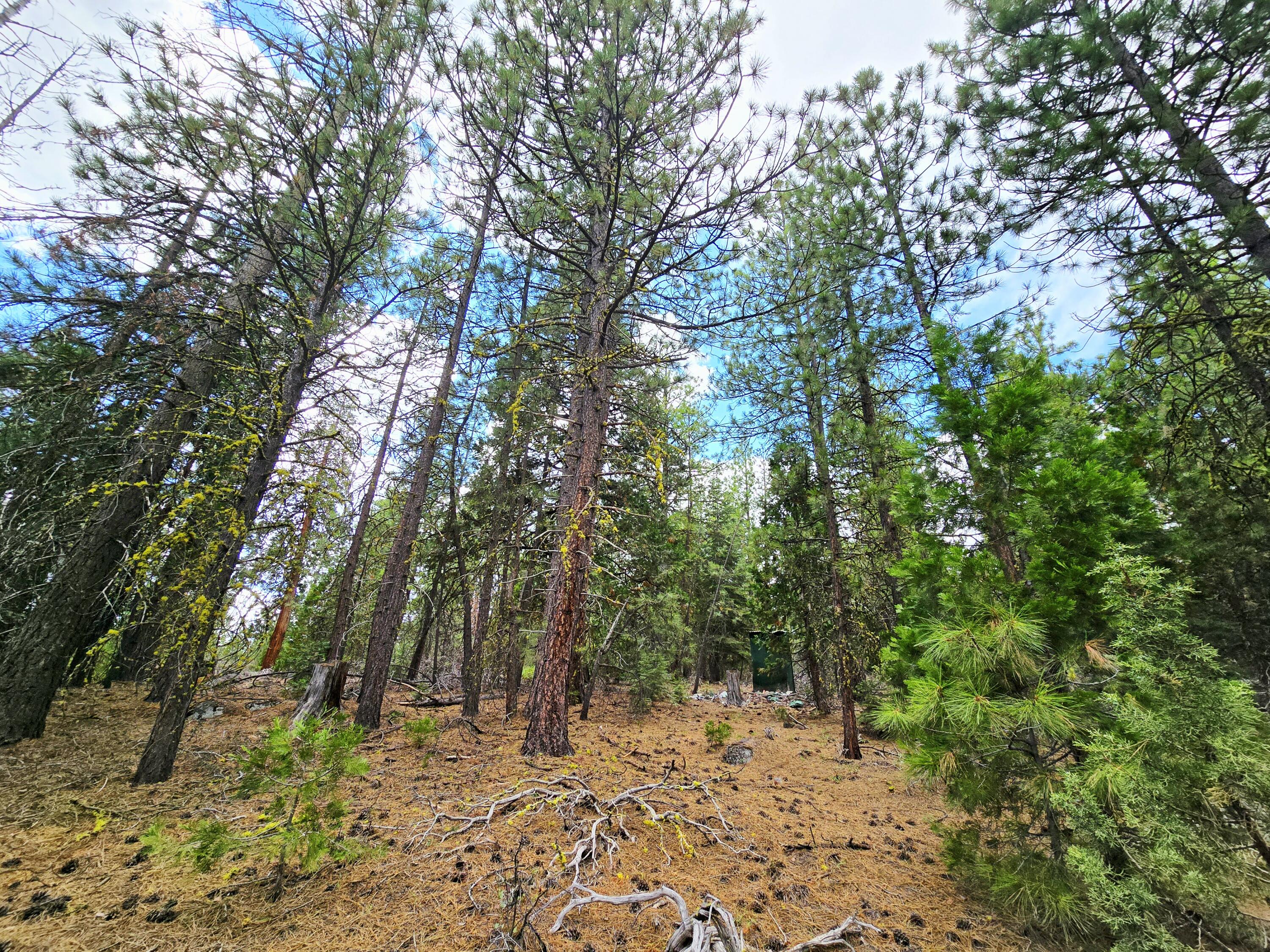 Klamath Falls Forest Estates -Hwy 66 Unit -Plat No. 1 - Land