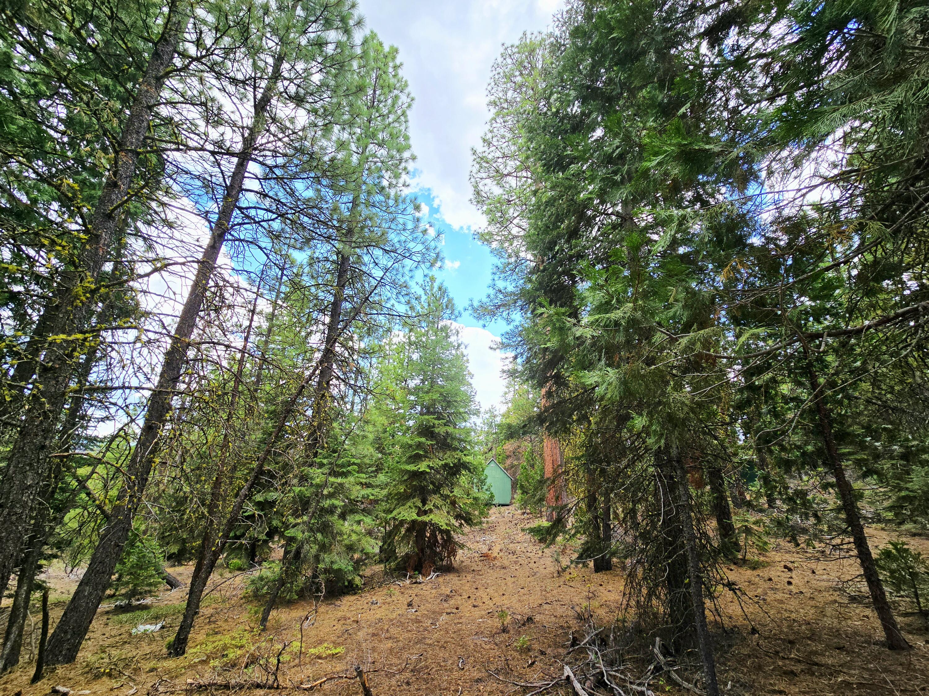 Klamath Falls Forest Estates -Hwy 66 Unit -Plat No. 1 - Land