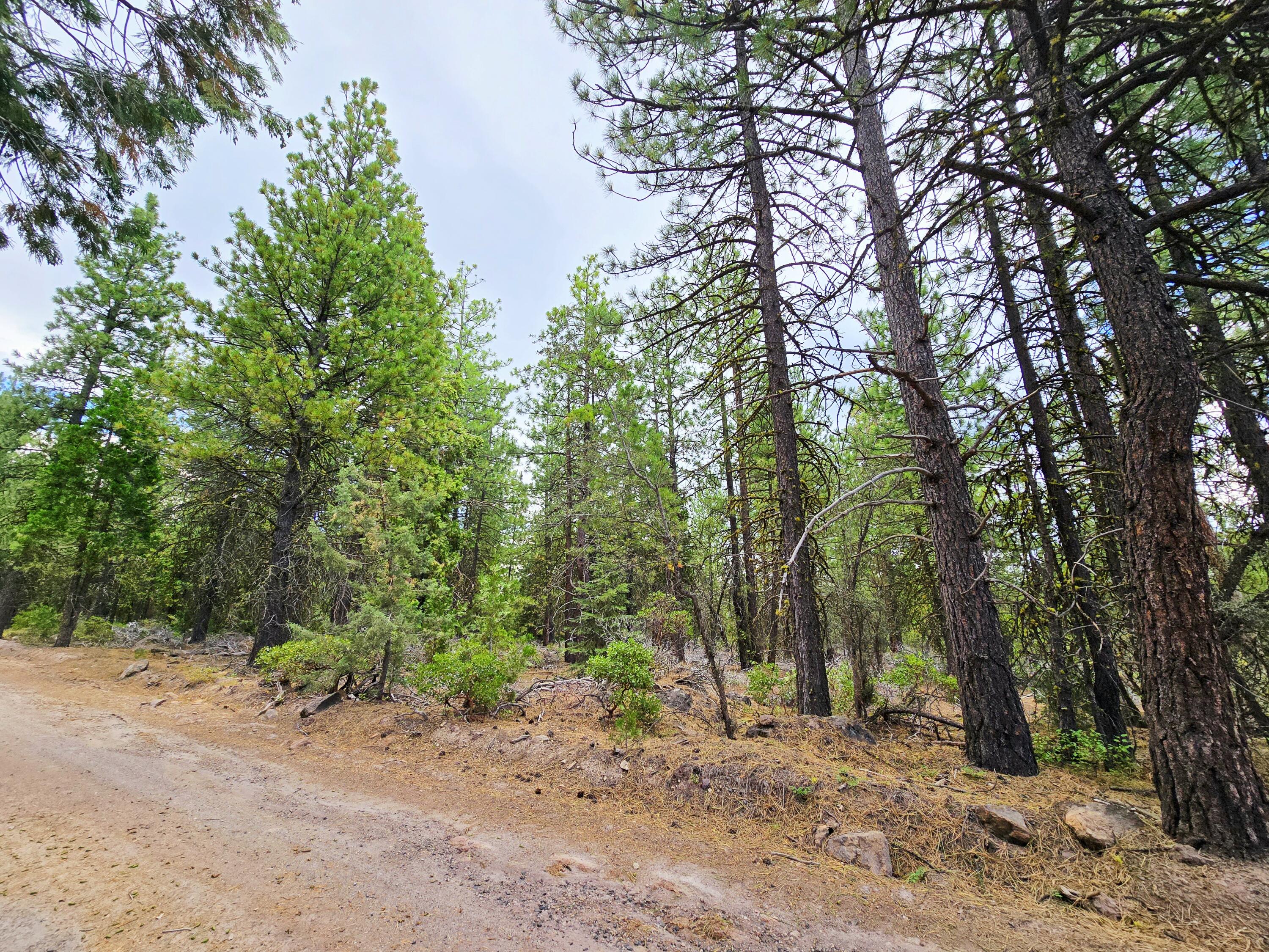 Klamath Falls Forest Estates -Hwy 66 Unit -Plat No. 1 - Land