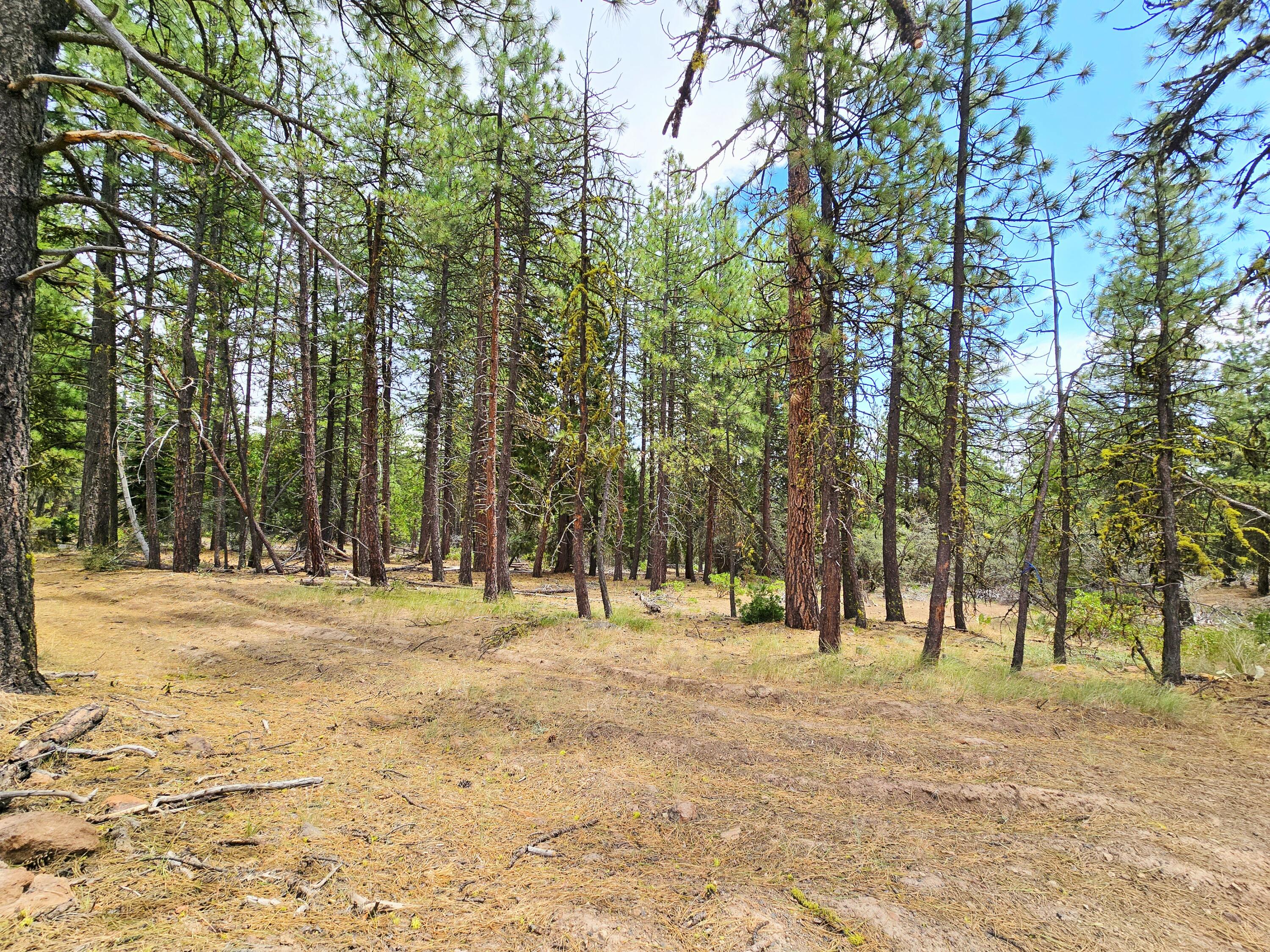 Klamath Falls Forest Estates -Hwy 66 Unit -Plat No. 1 - Land