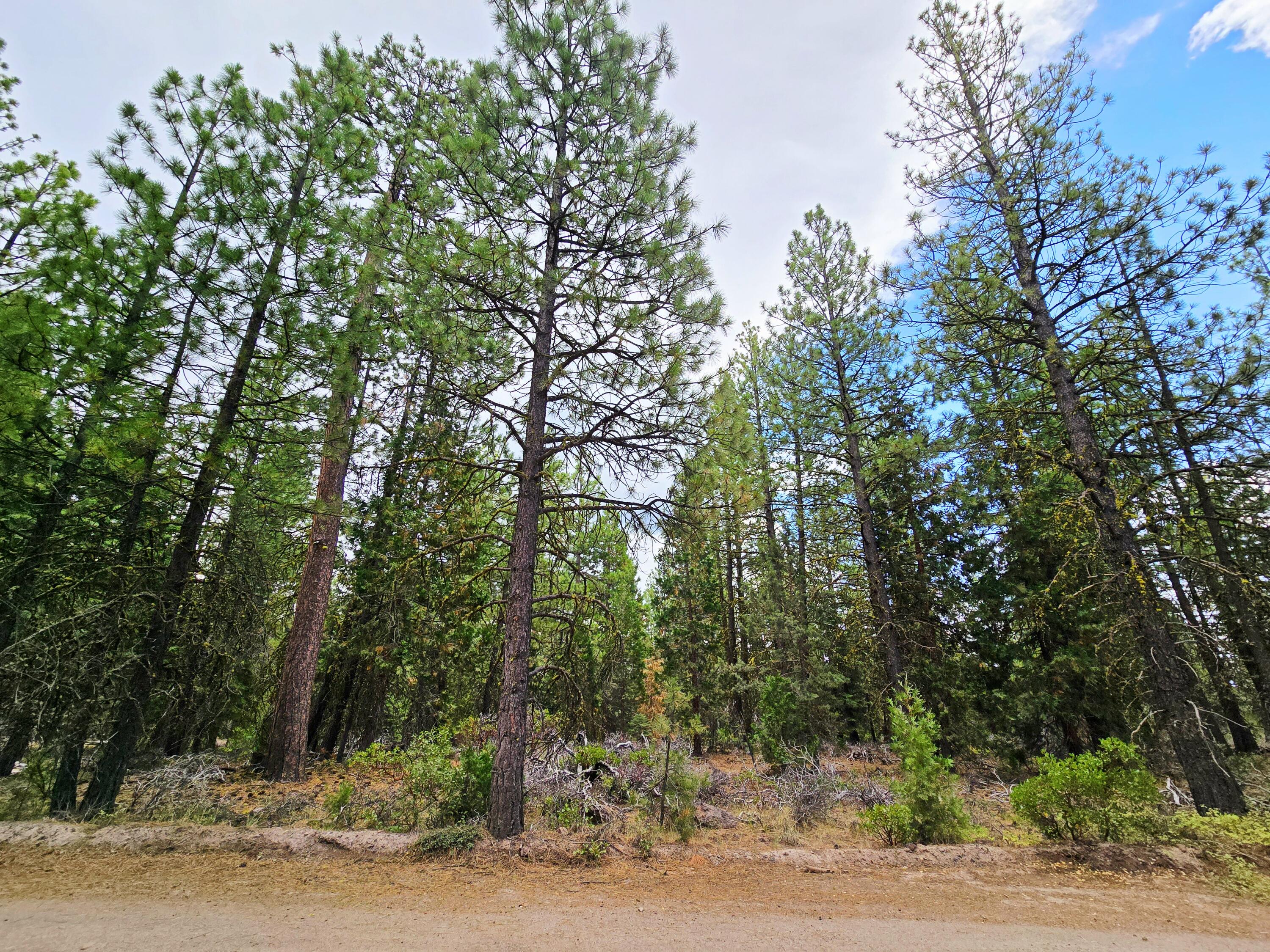 Klamath Falls Forest Estates -Hwy 66 Unit -Plat No. 1 - Land