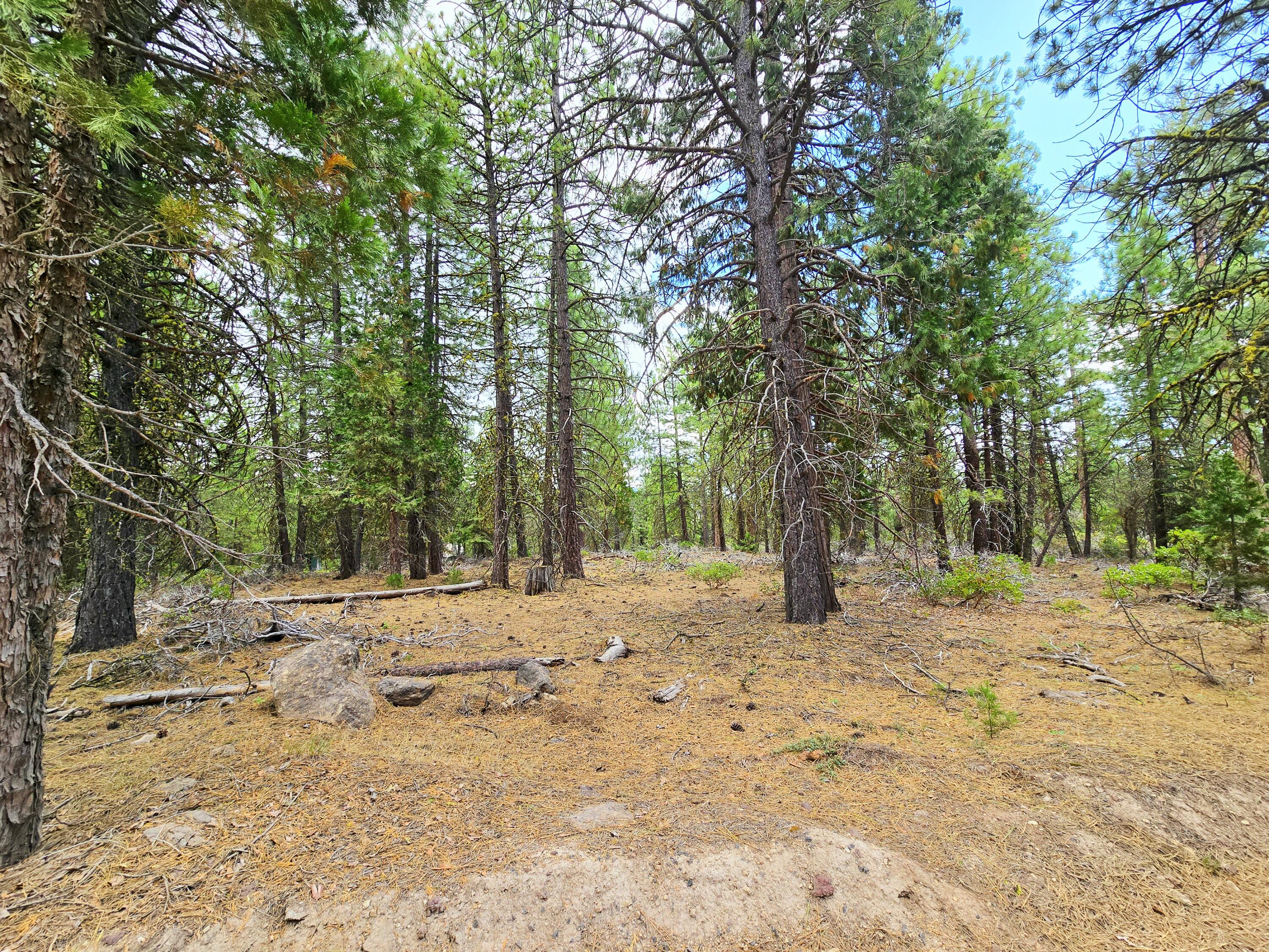 Klamath Falls Forest Estates -Hwy 66 Unit -Plat No. 1 - Land