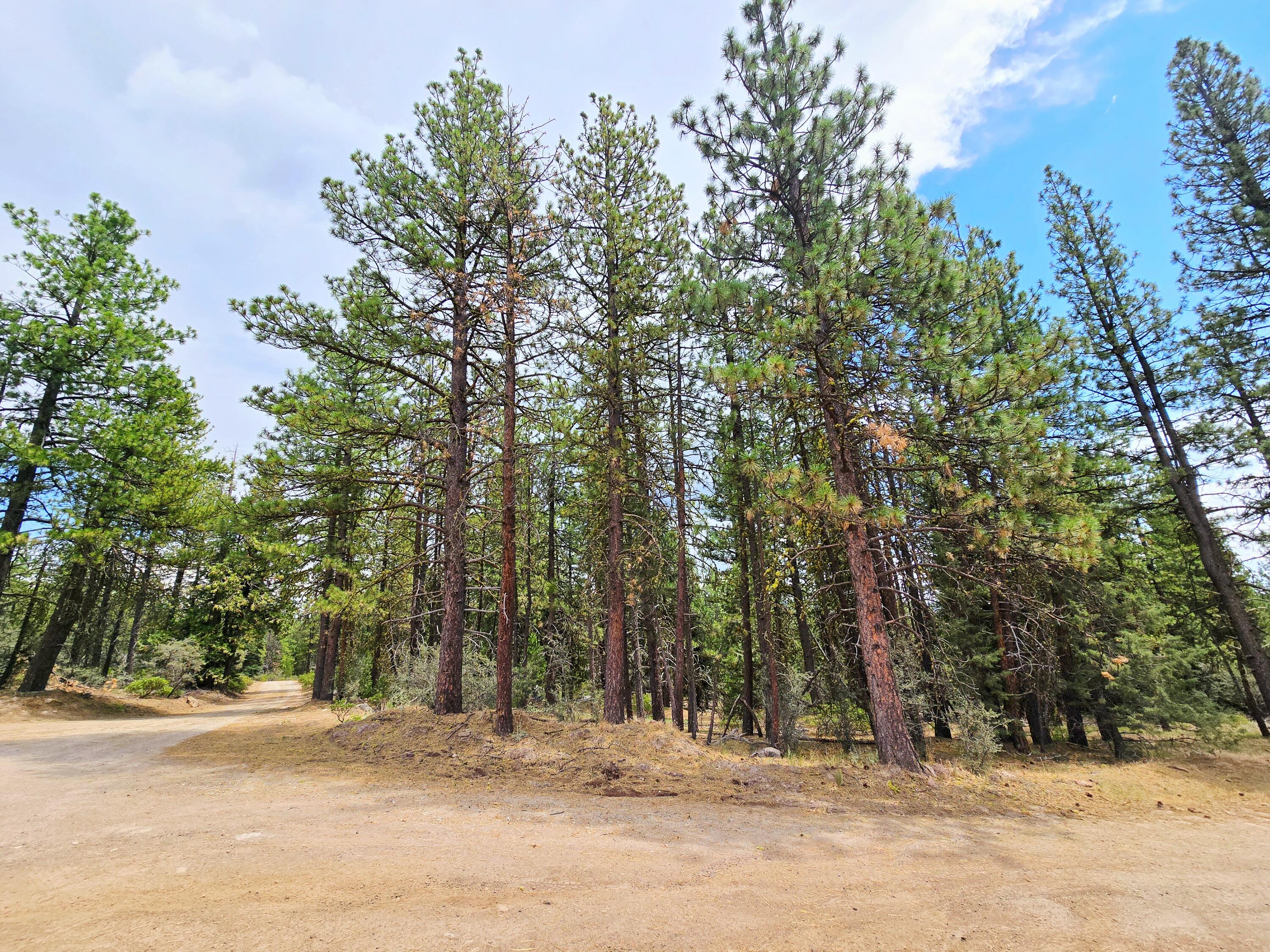 Klamath Falls Forest Estates -Hwy 66 Unit -Plat No. 1 - Land