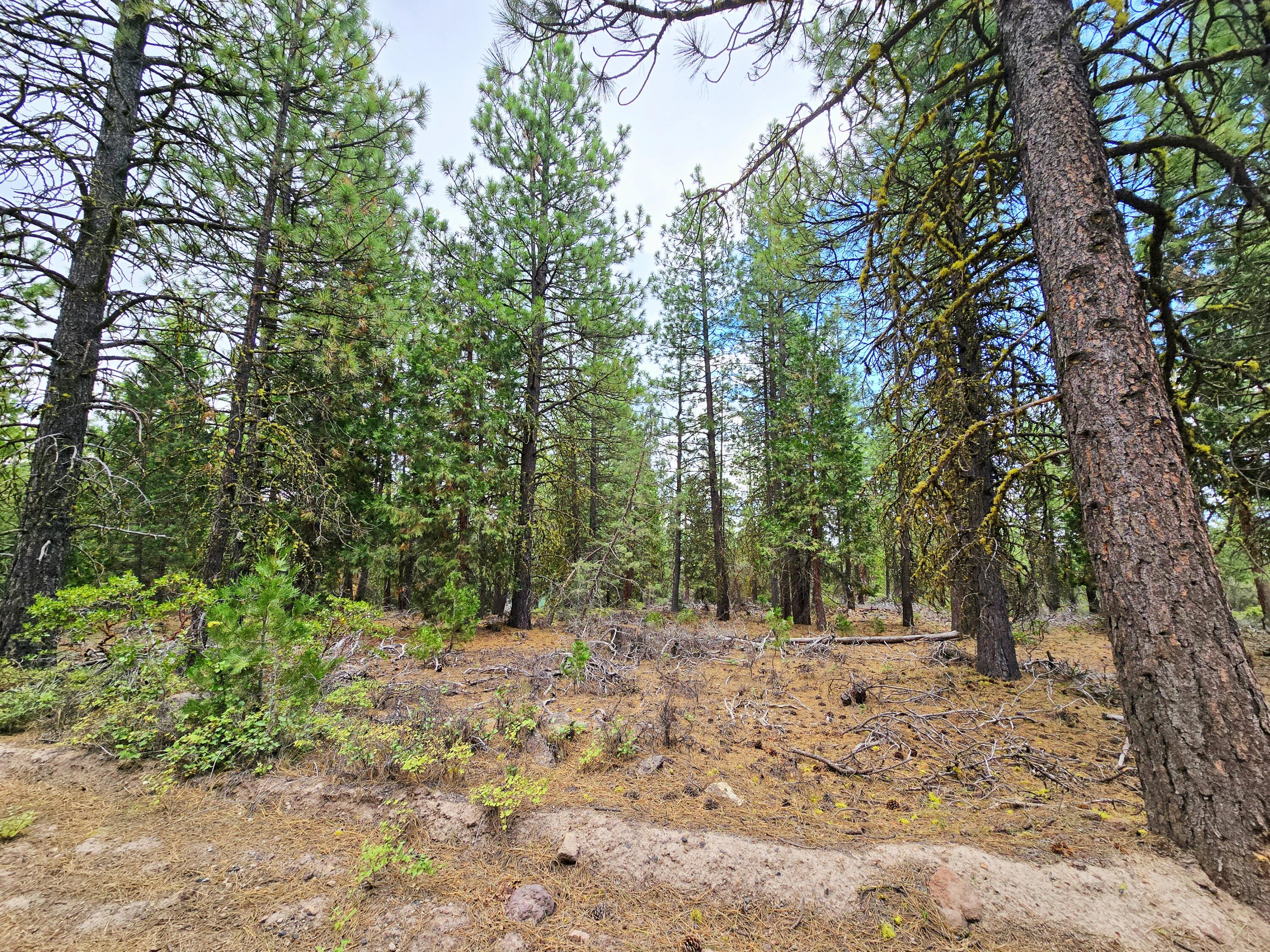 Klamath Falls Forest Estates -Hwy 66 Unit -Plat No. 1 - Land