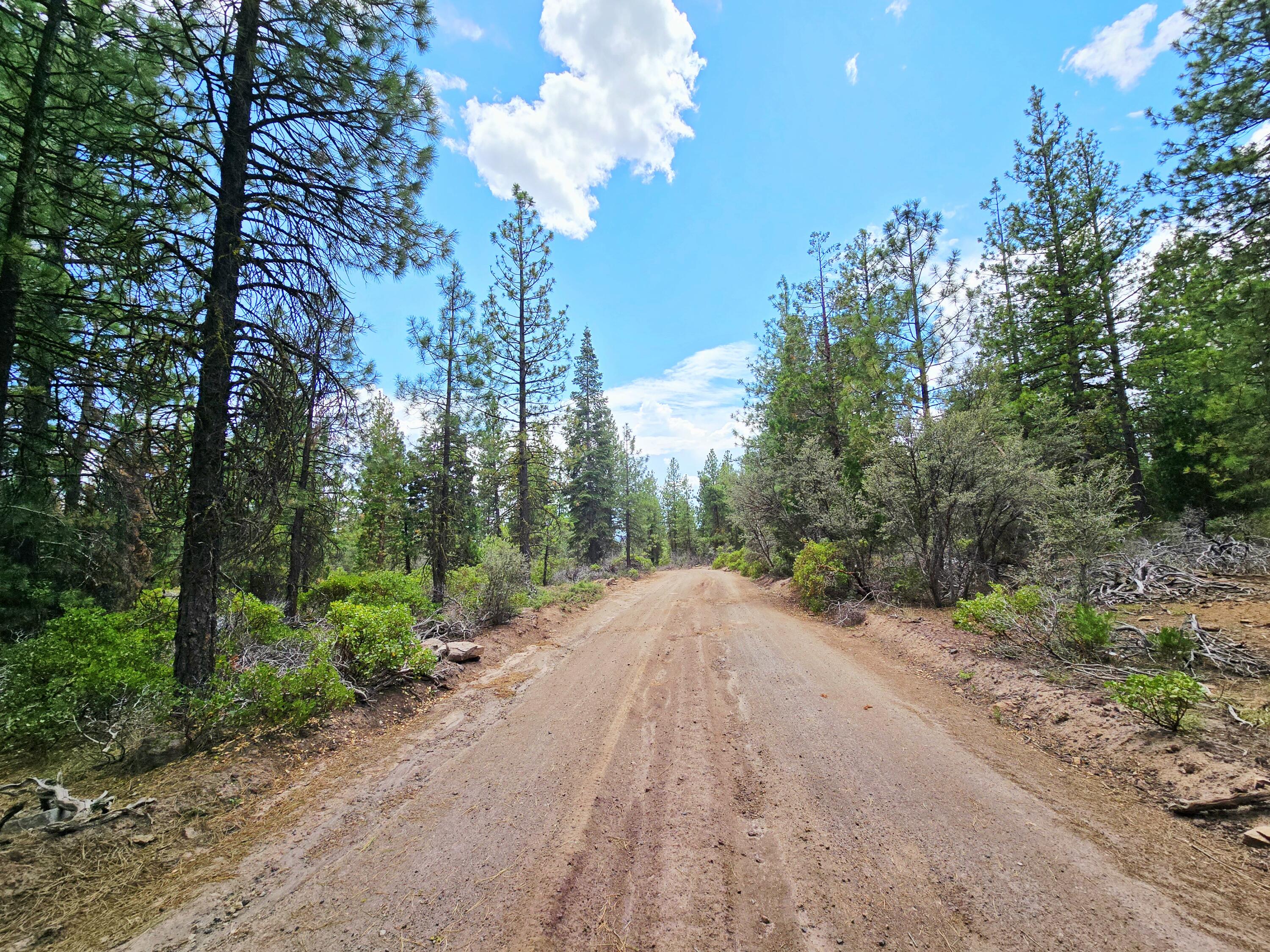 Klamath Falls Forest Estates -Hwy 66 Unit -Plat No. 1 - Land