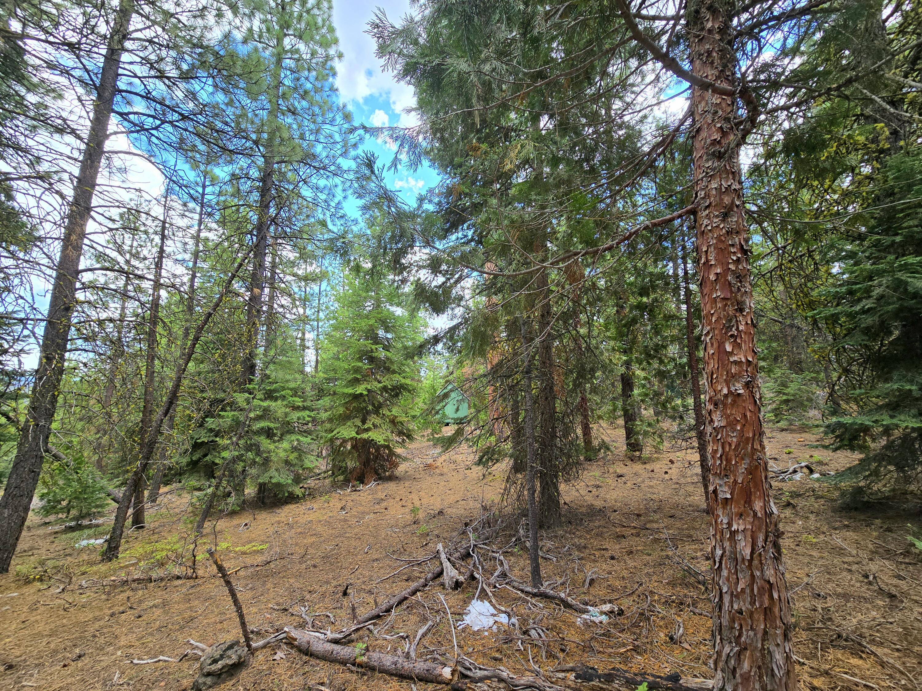Klamath Falls Forest Estates -Hwy 66 Unit -Plat No. 1 - Land