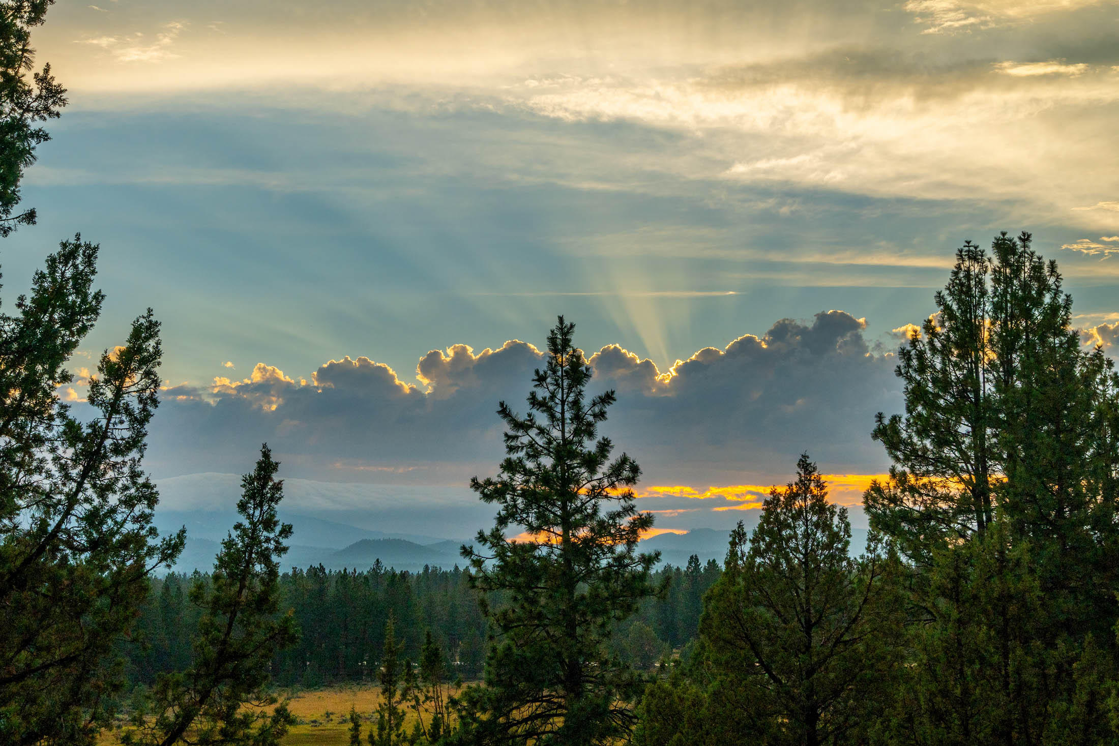 Barclay Place - Residential