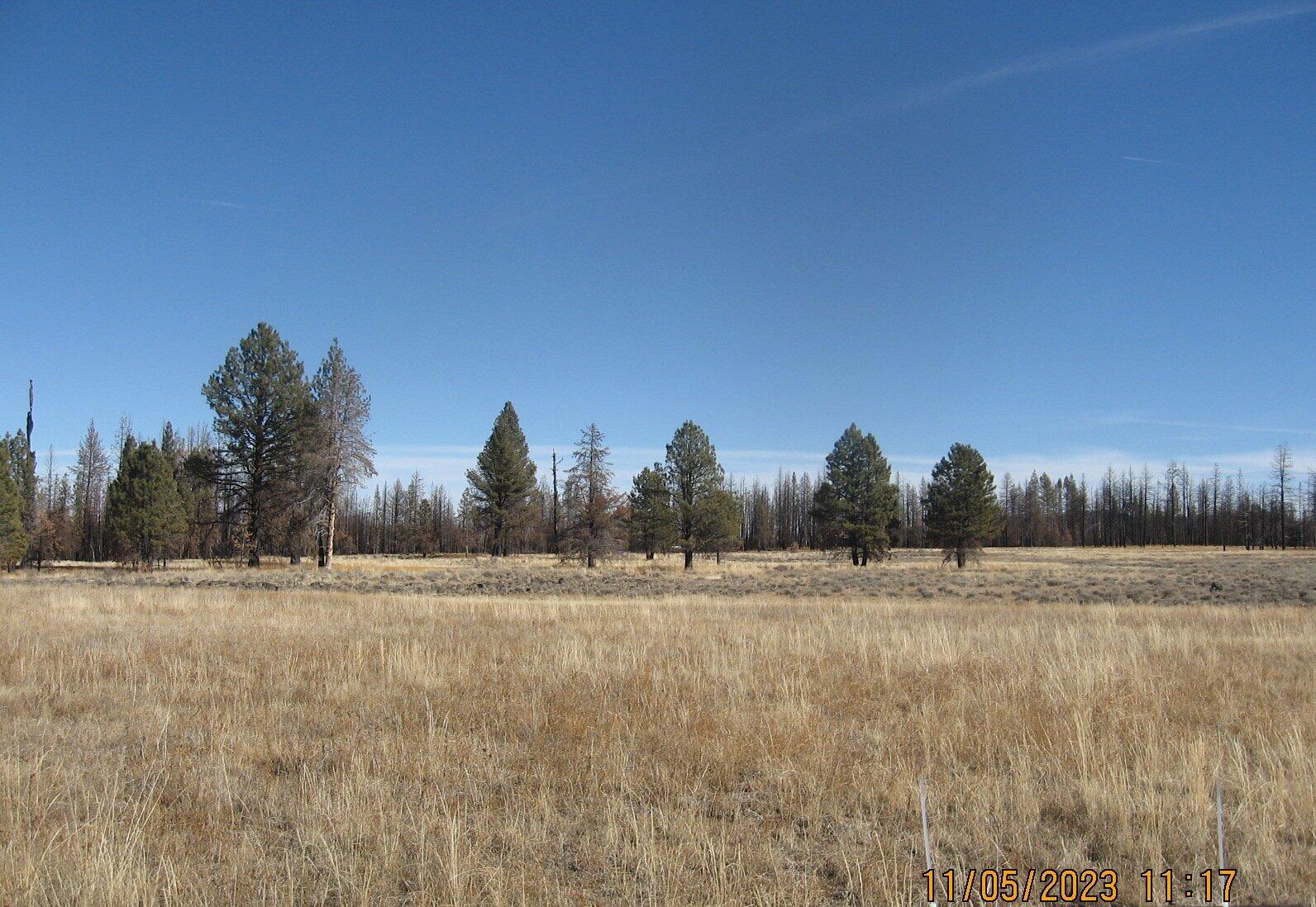 Klamath Falls Forest Estates -Sycan Unit - Land