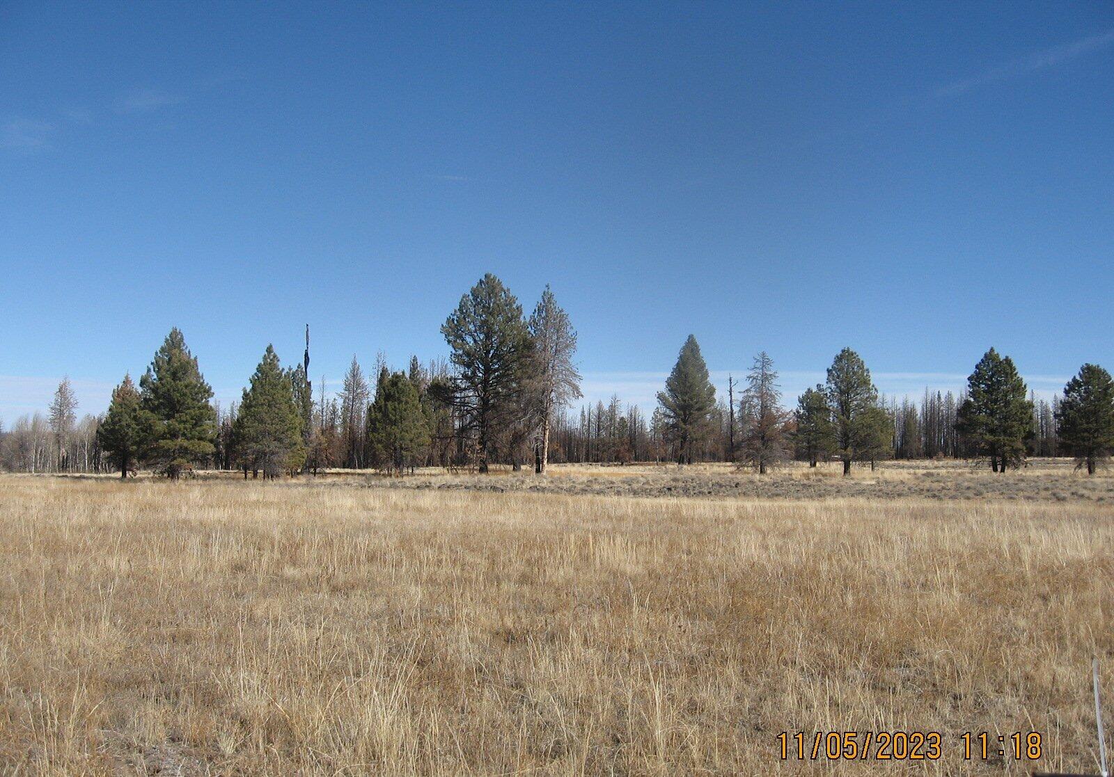 Klamath Falls Forest Estates -Sycan Unit - Land