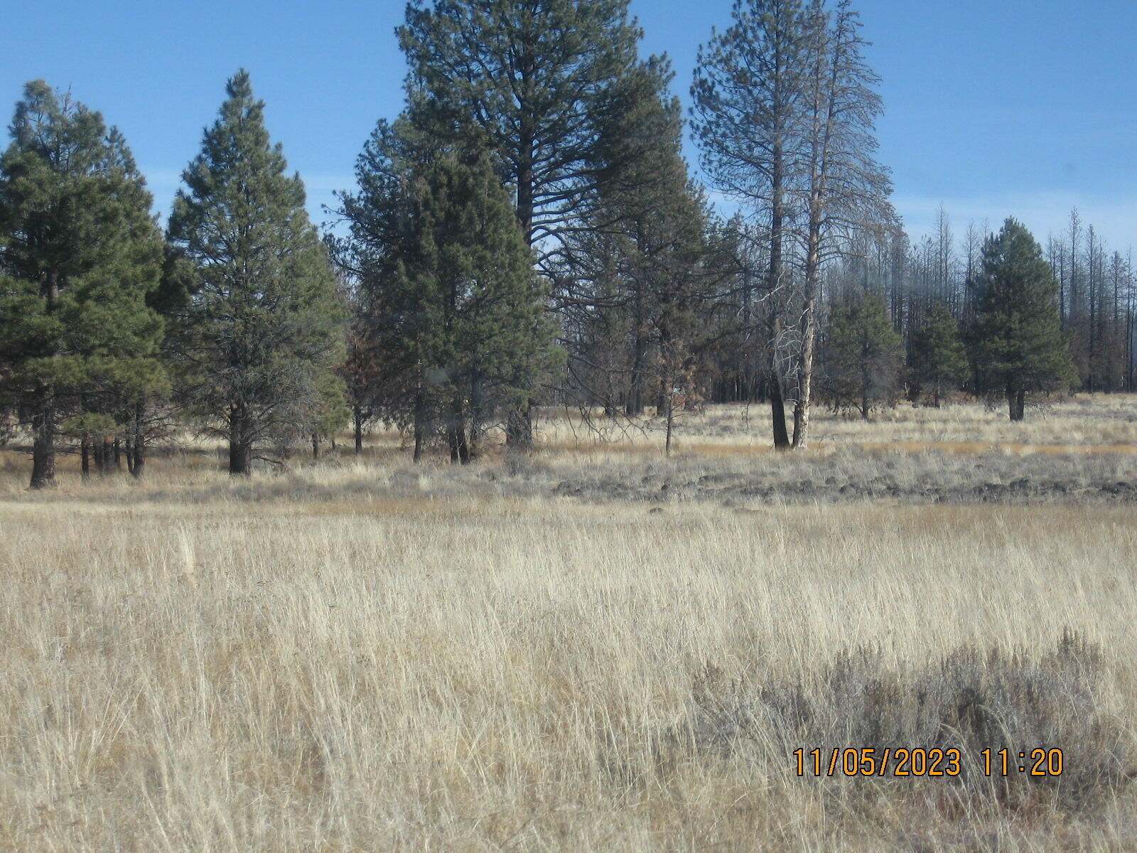 Klamath Falls Forest Estates -Sycan Unit - Land