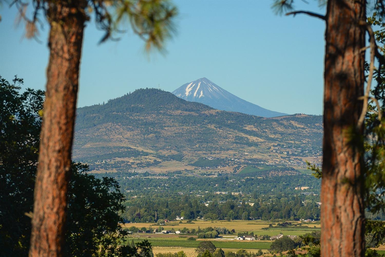 Timber Ridge - Land