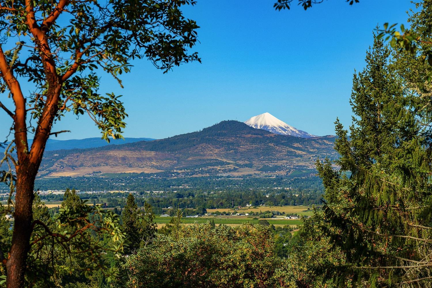 Timber Ridge - Land