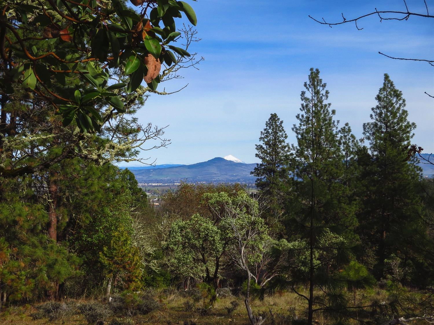 Timber Ridge - Land